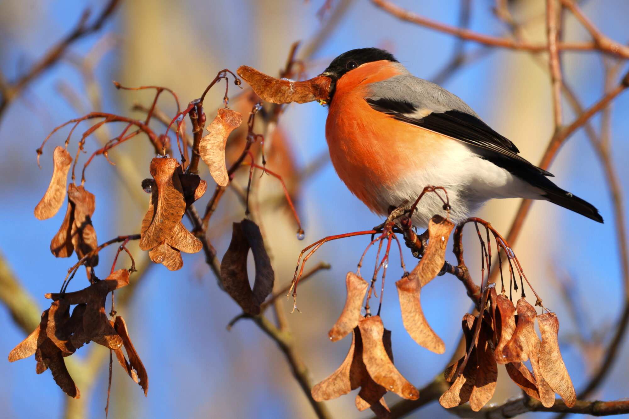 Valokuvaaja: Jouni Kalliomäki