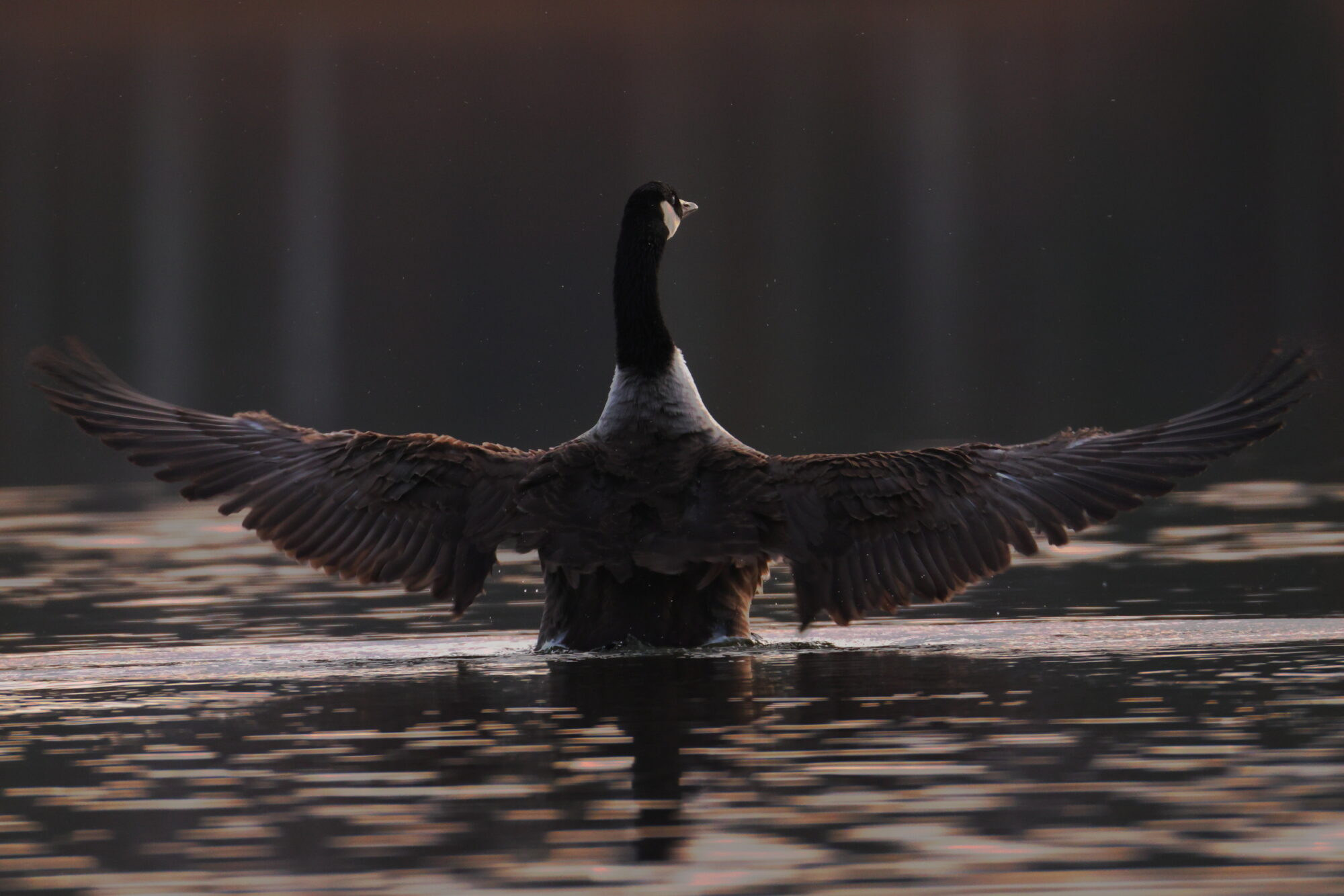 Valokuvaaja: Jouni Kalliomäki