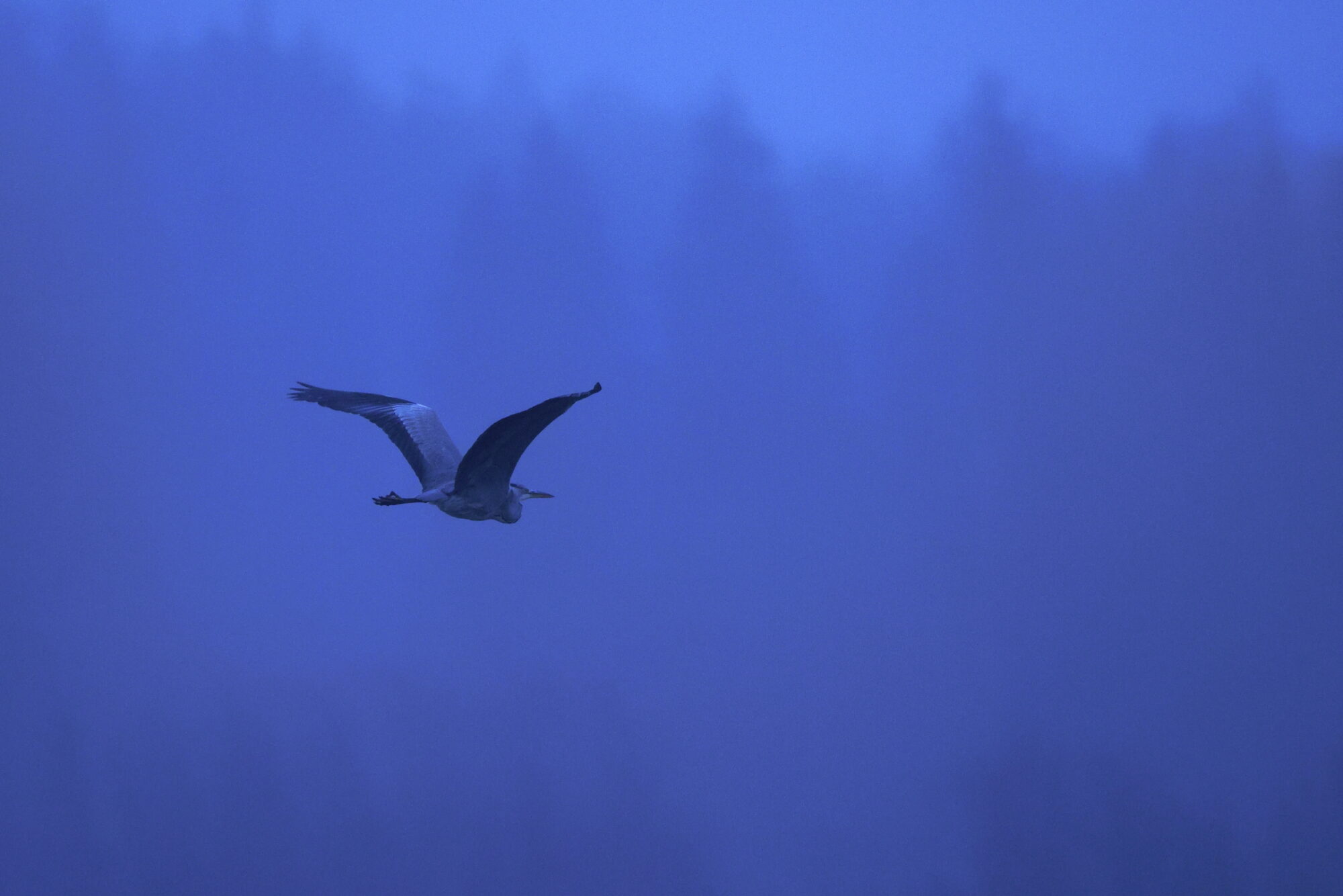 Valokuvaaja: Jouni Kalliomäki