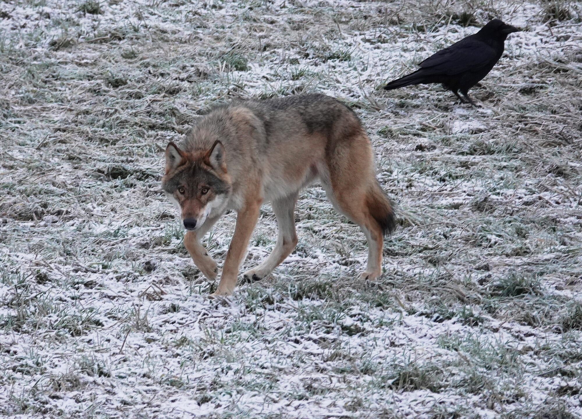 Valokuvaaja: Raija Oksanen