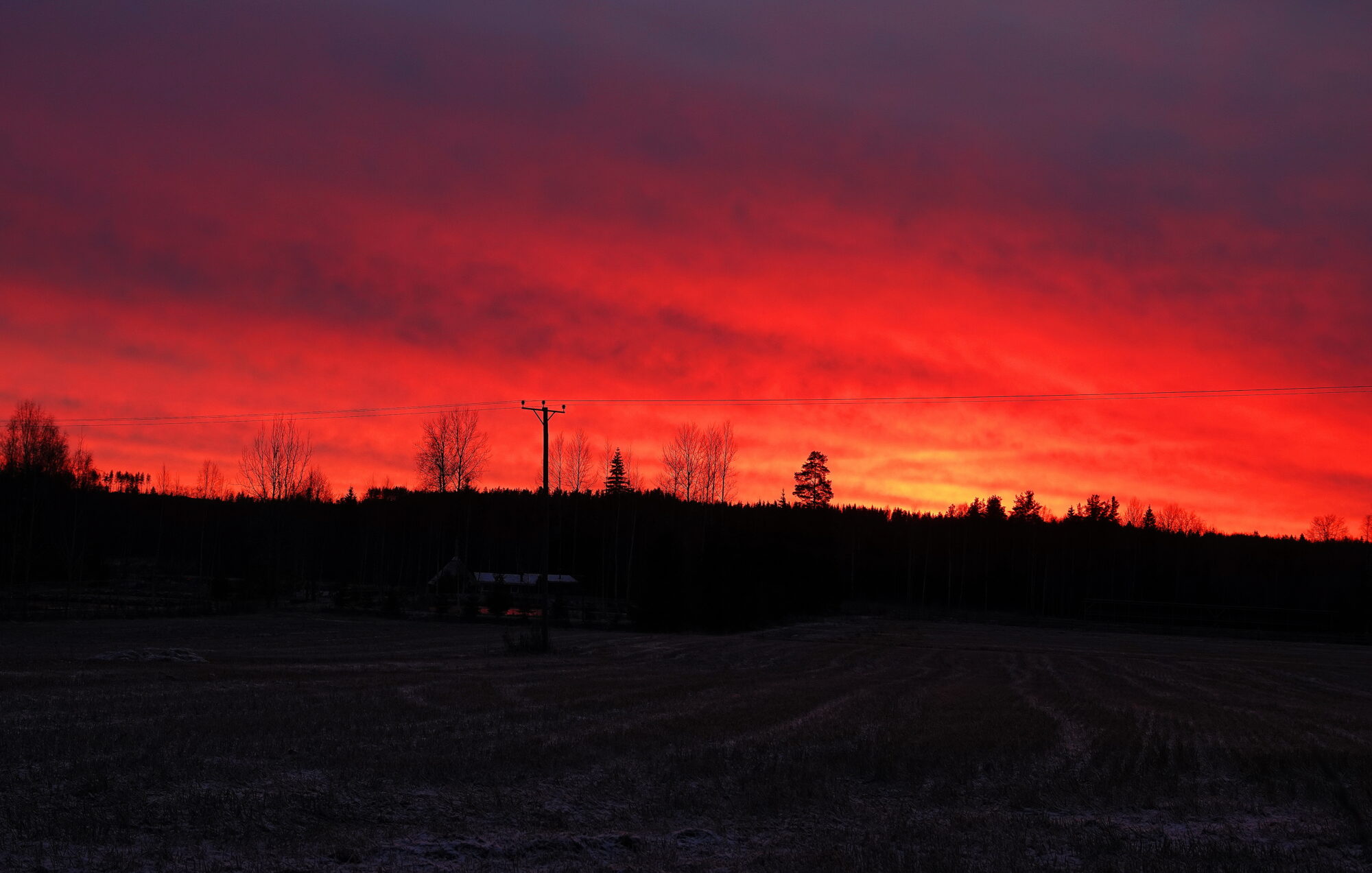 Valokuvaaja: Raija Oksanen