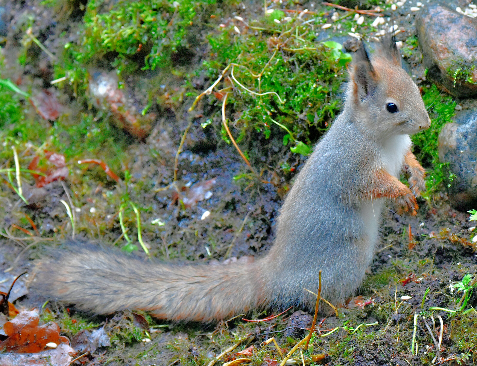 Valokuvaaja: Reijo Juurinen