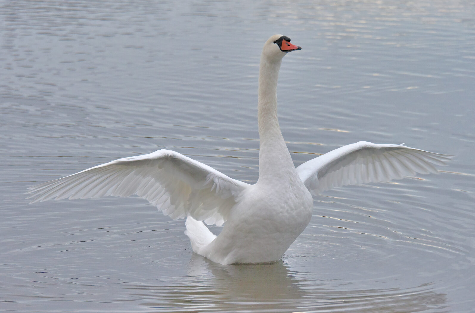 Valokuvaaja: Reijo Juurinen