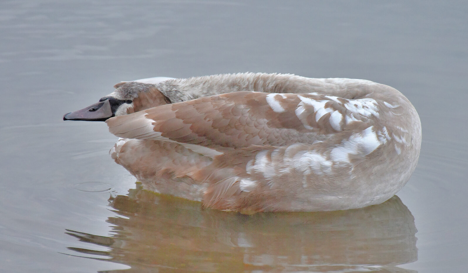 Valokuvaaja: Reijo Juurinen