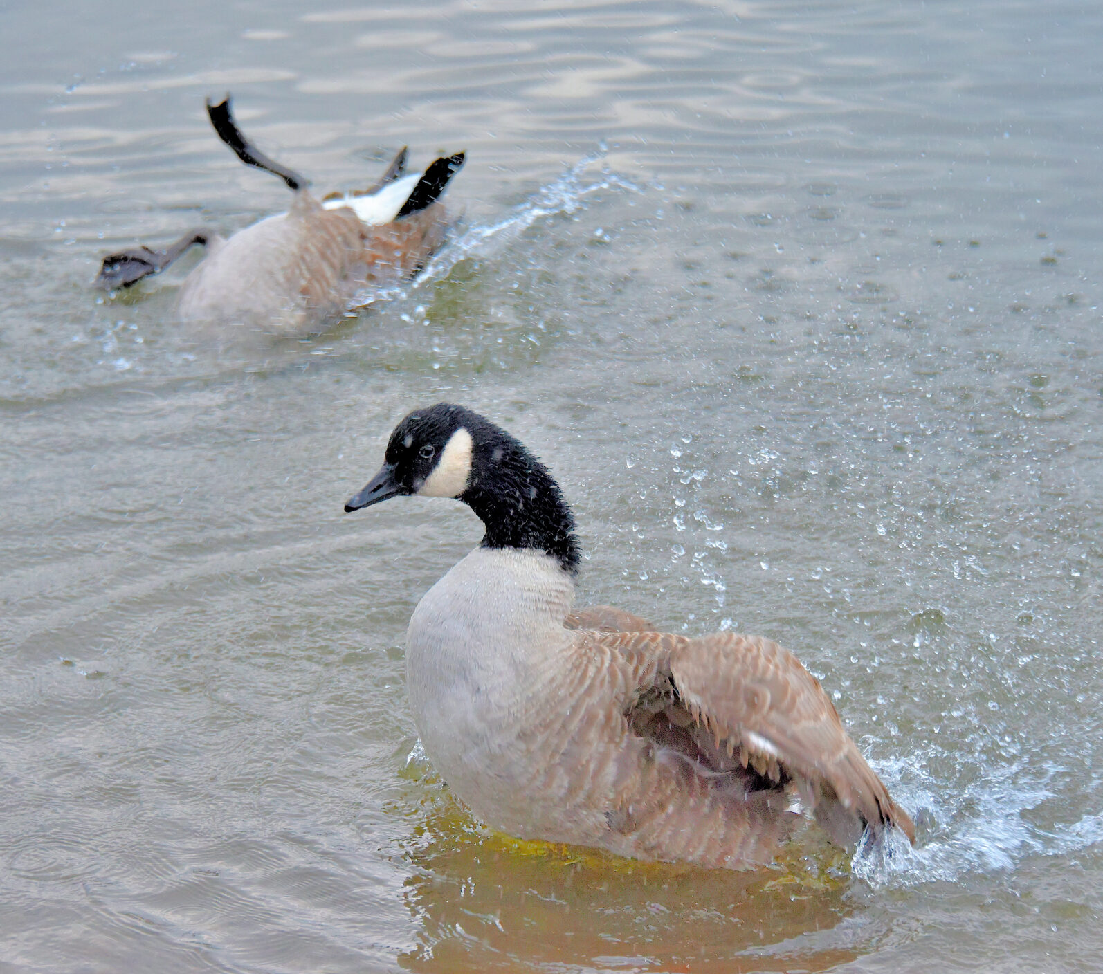 Valokuvaaja: Reijo Juurinen
