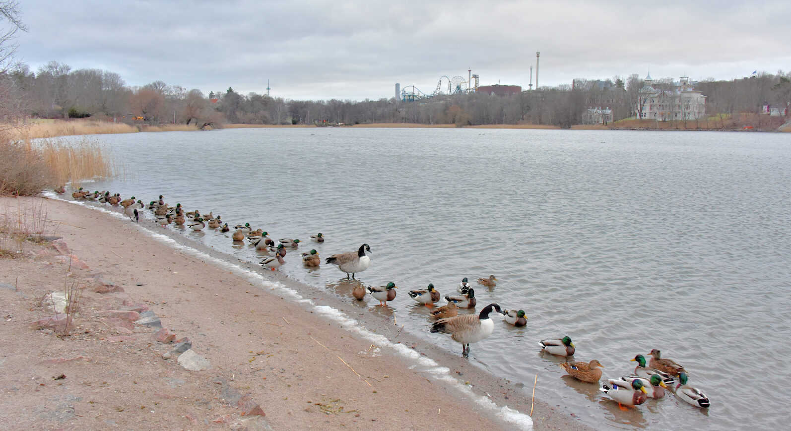 Valokuvaaja: Reijo Juurinen