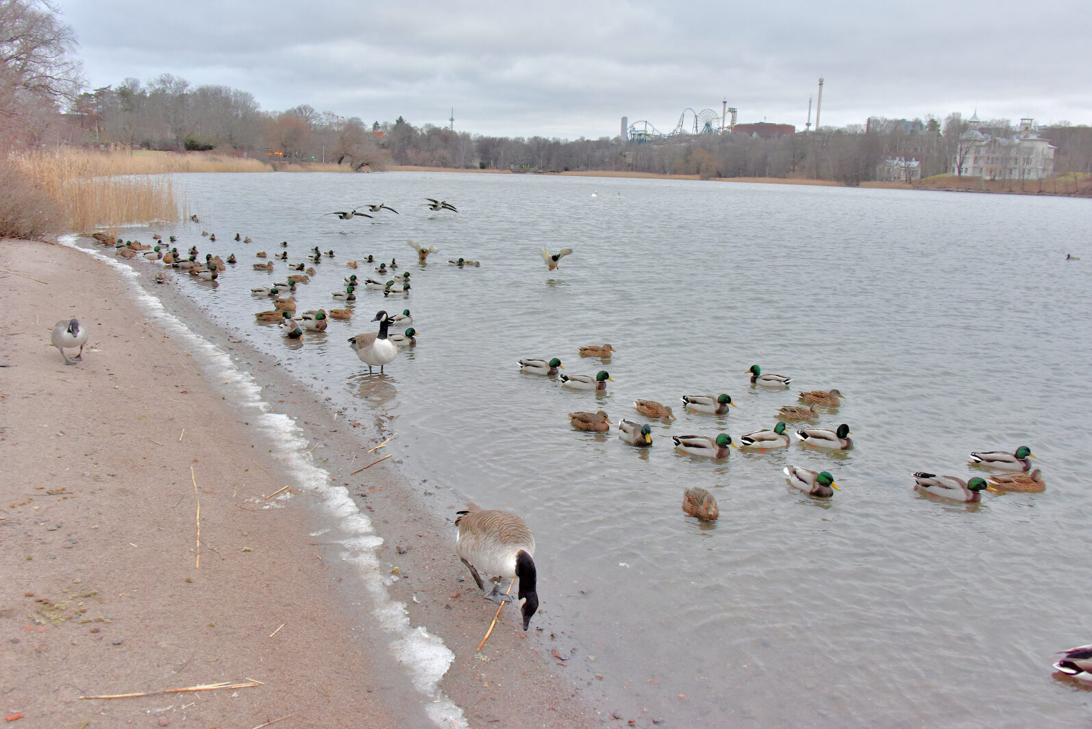 Valokuvaaja: Reijo Juurinen