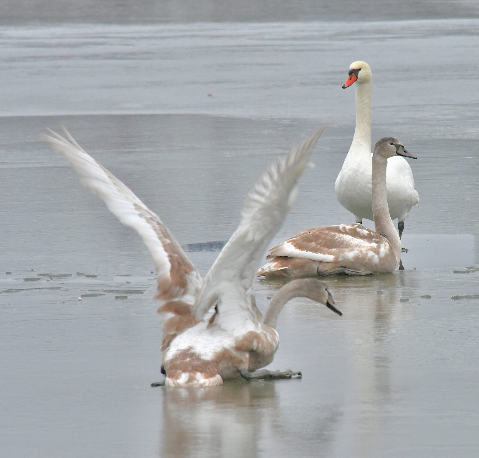 Valokuvaaja: Reijo Juurinen