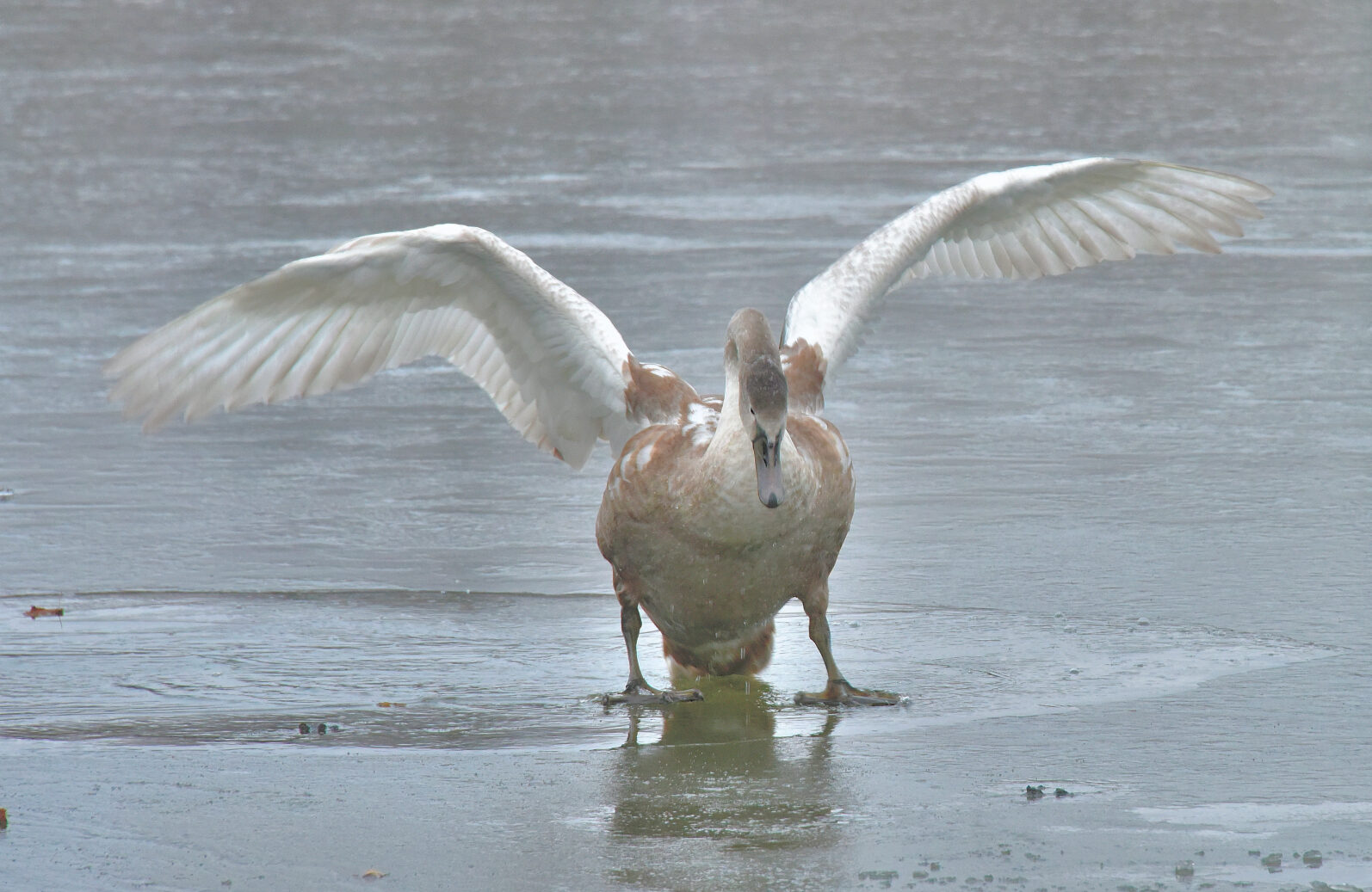 Valokuvaaja: Reijo Juurinen