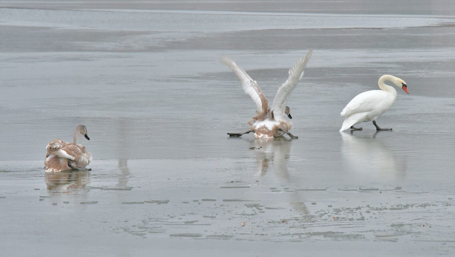 Valokuvaaja: Reijo Juurinen