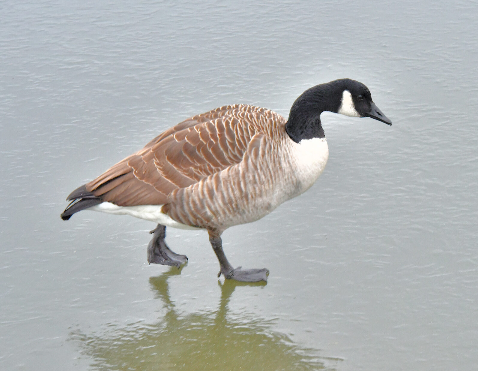 Valokuvaaja: Reijo Juurinen