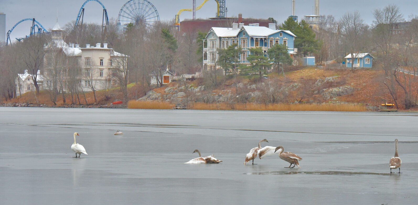 Valokuvaaja: Reijo Juurinen