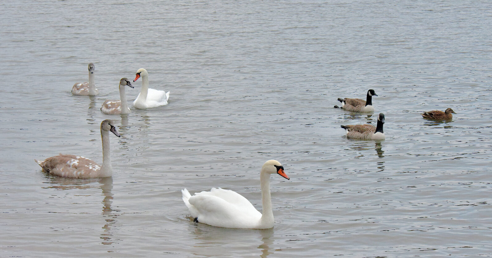 Valokuvaaja: Reijo Juurinen