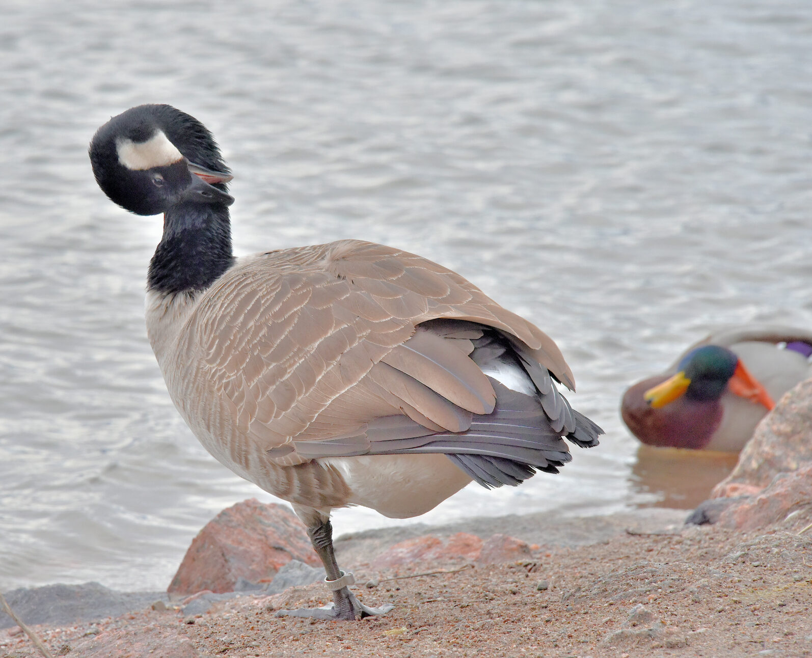 Valokuvaaja: Reijo Juurinen