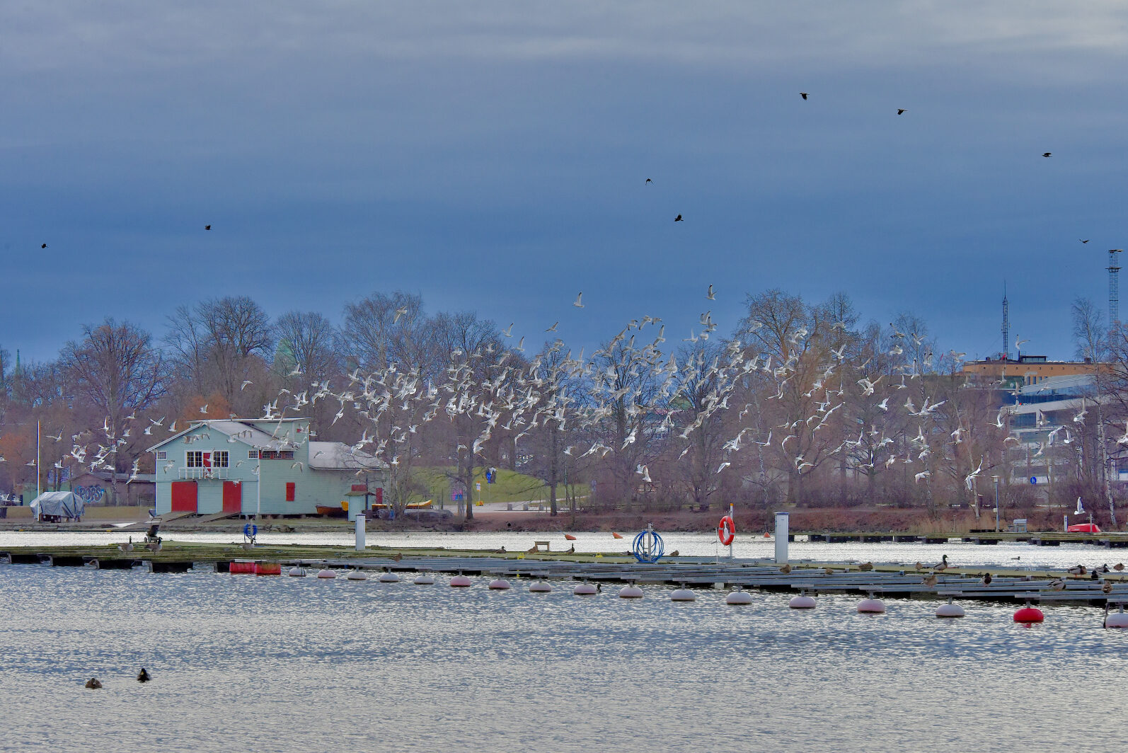 Valokuvaaja: Reijo Juurinen