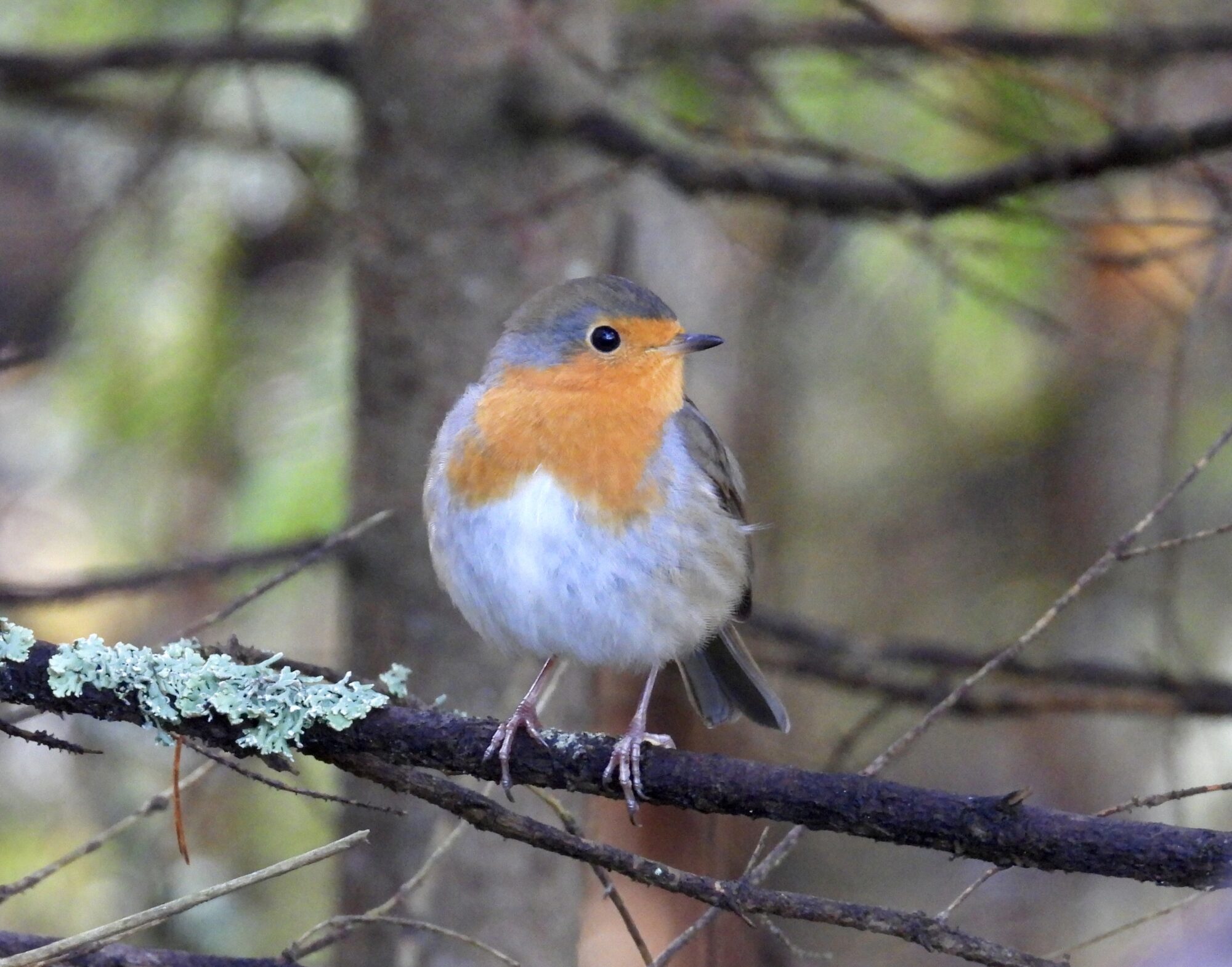 Valokuvaaja: Juhani Peltonen