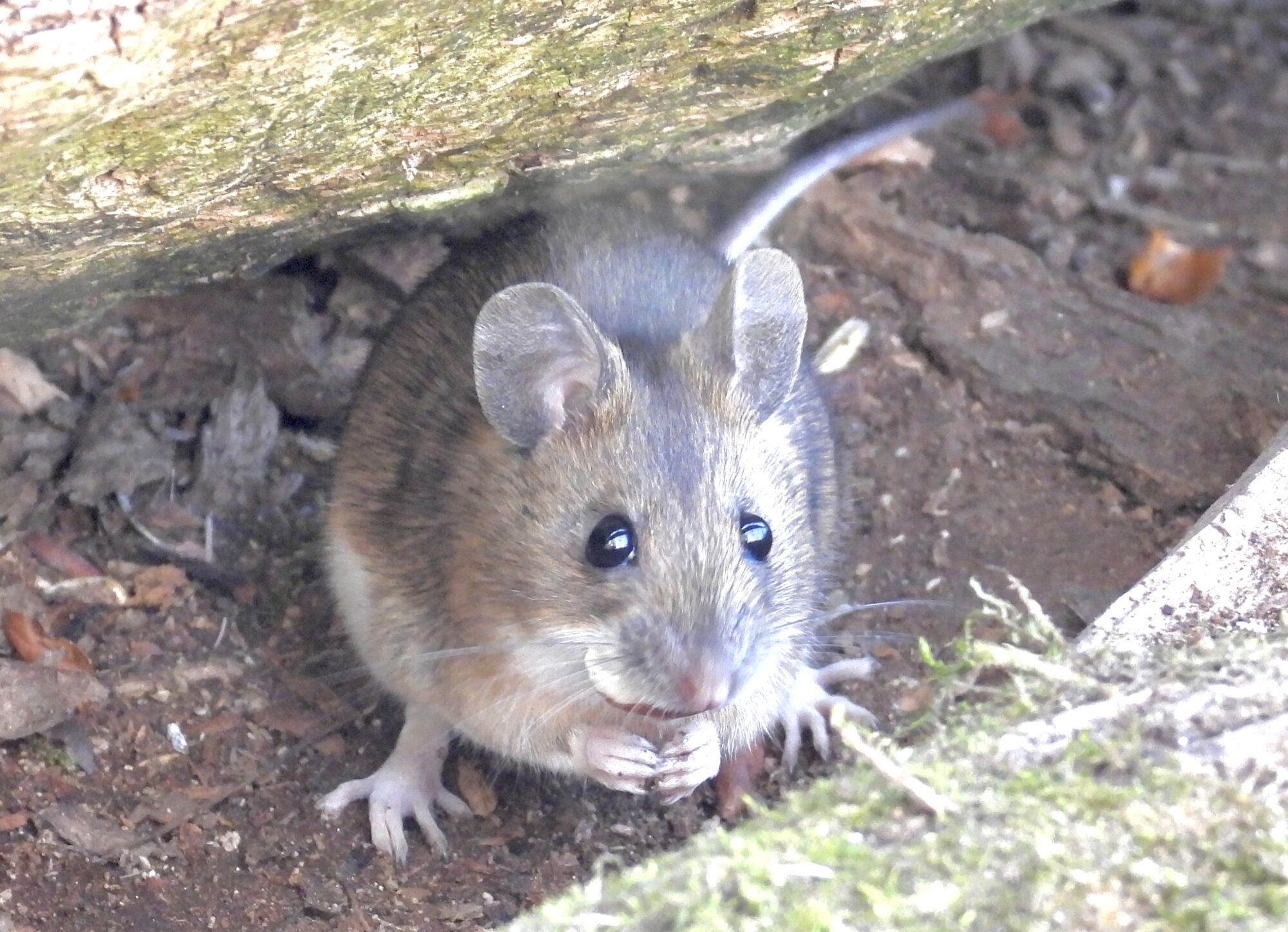 Valokuvaaja: Juhani Peltonen