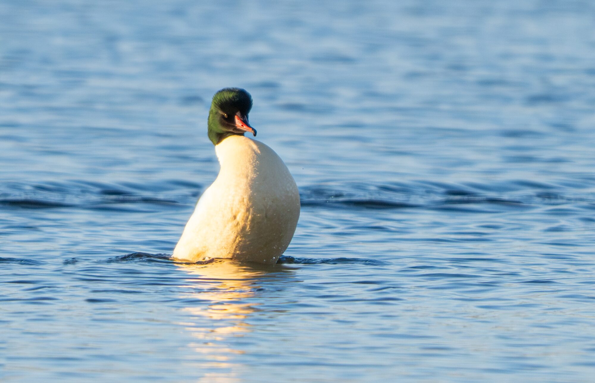 Valokuvaaja: Markku Saarinen