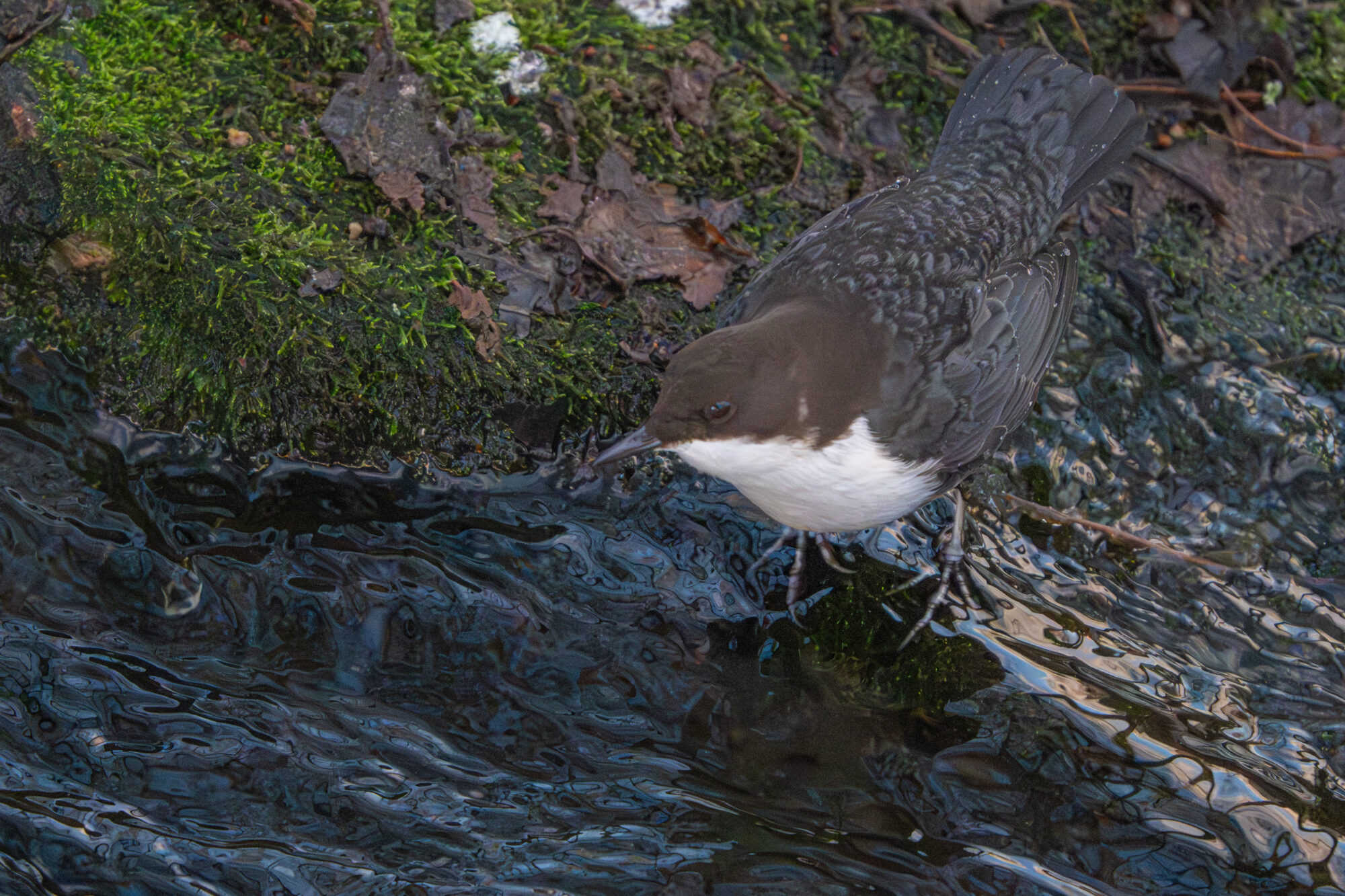Valokuvaaja: Markku Saarinen
