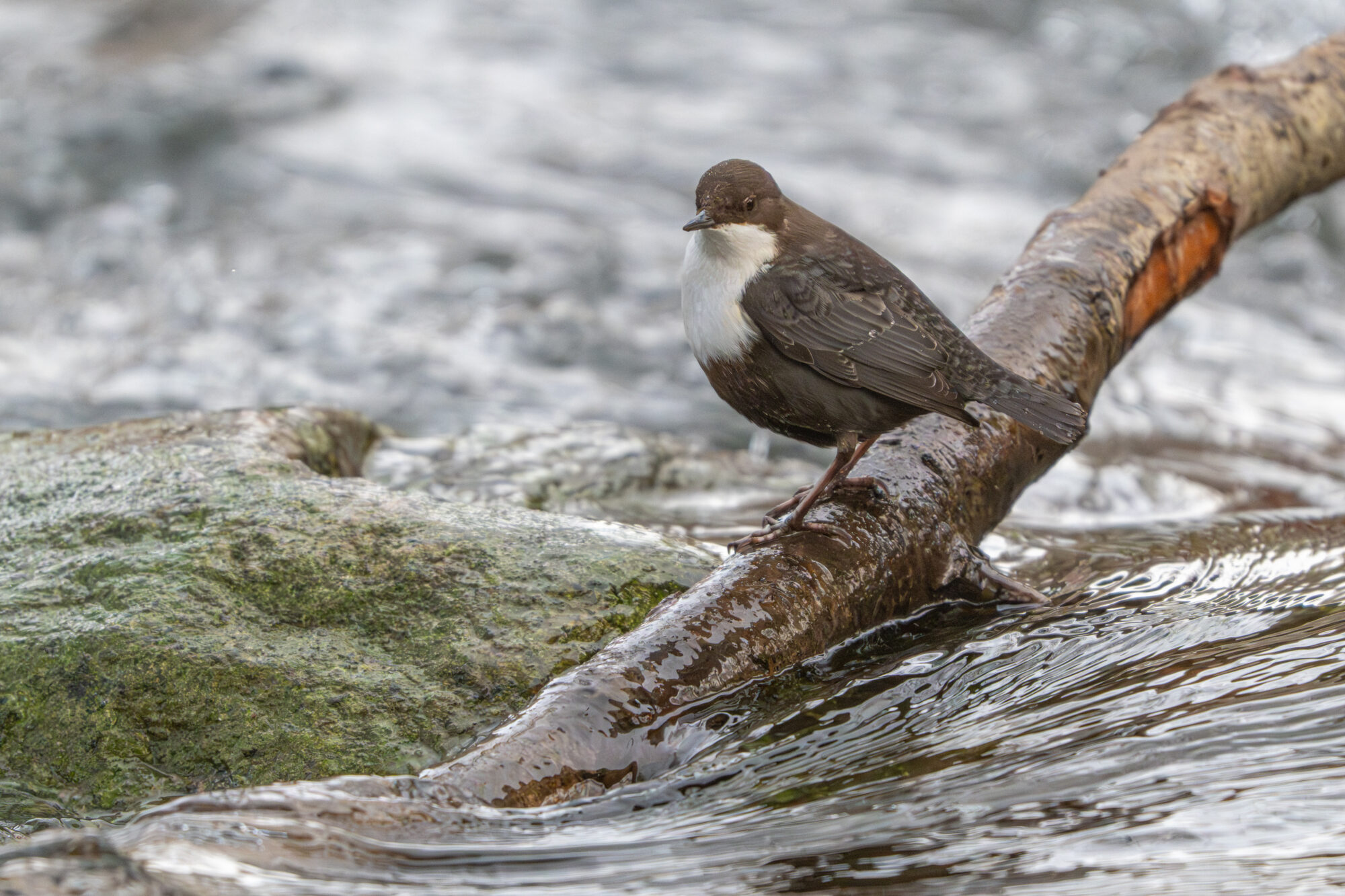 Valokuvaaja: Markku Saarinen