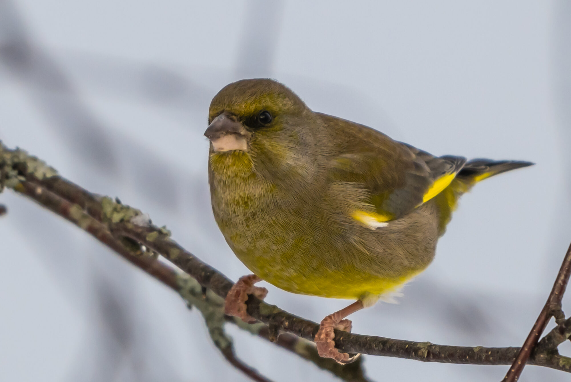 Valokuvaaja: Markku Saarinen