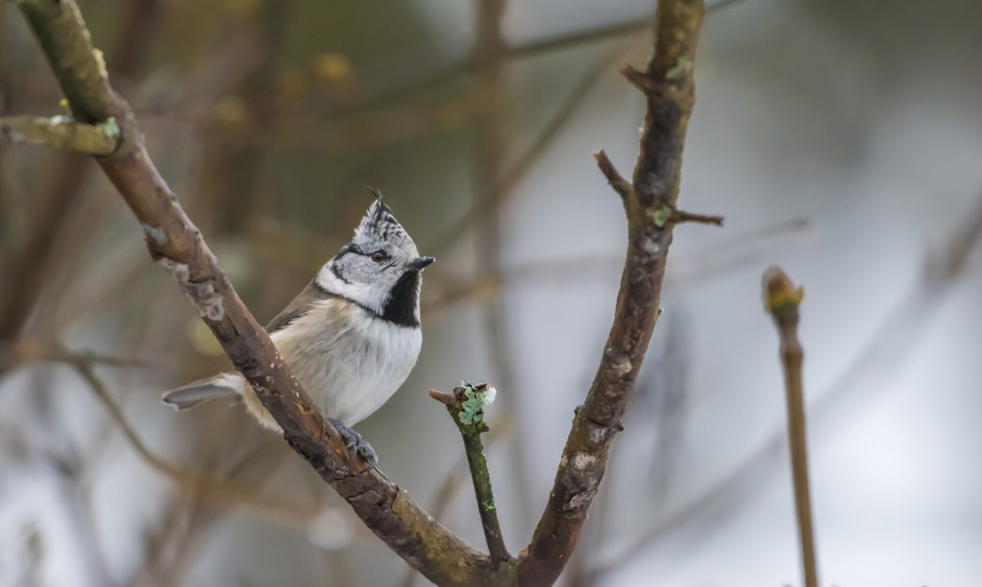 Valokuvaaja: Markku Saarinen