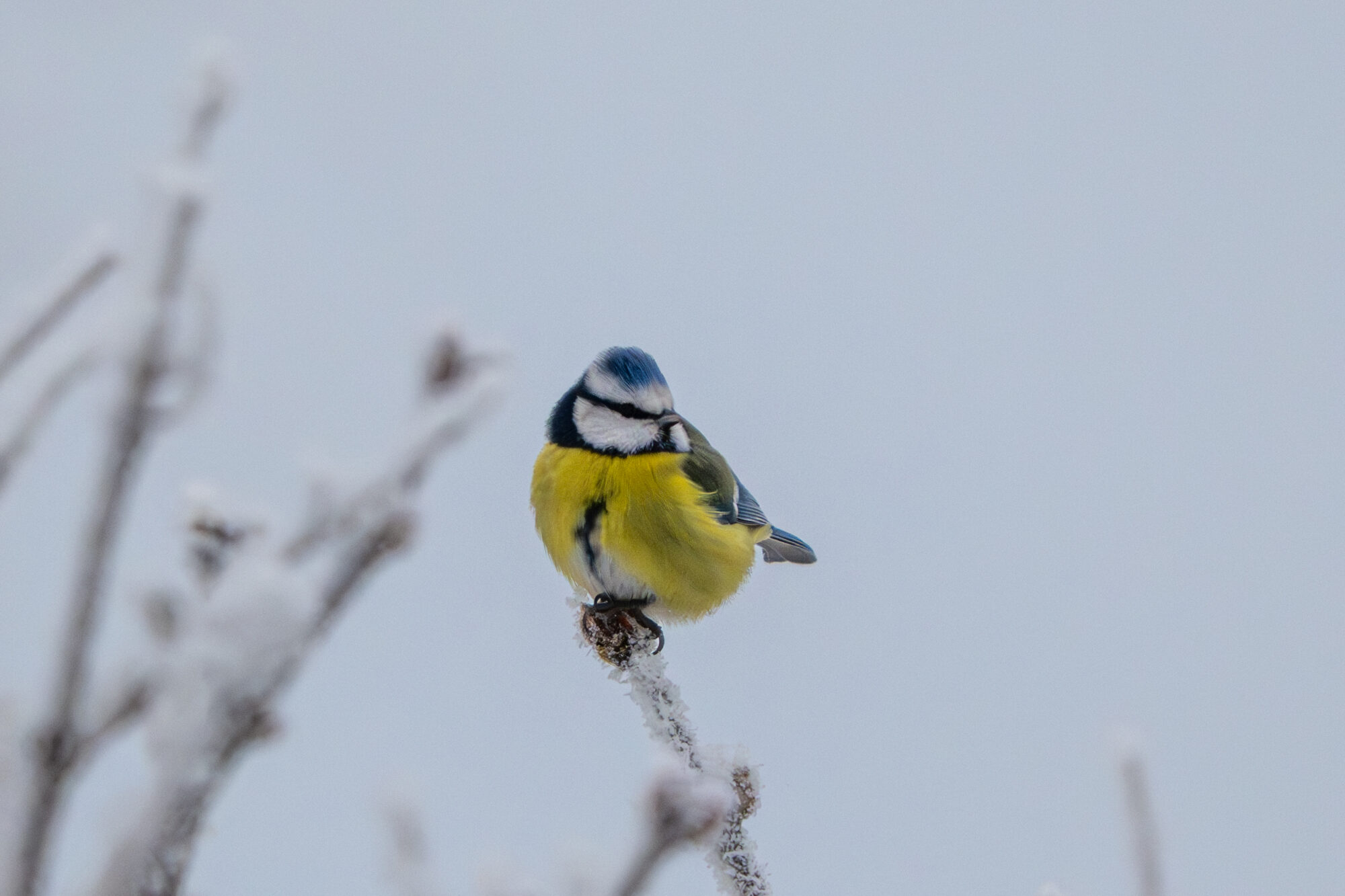 Valokuvaaja: Markku Saarinen