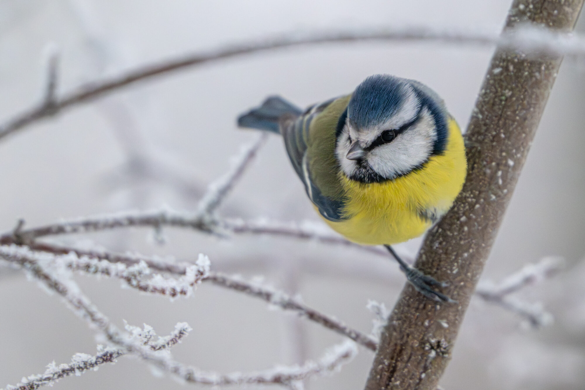 Valokuvaaja: Markku Saarinen