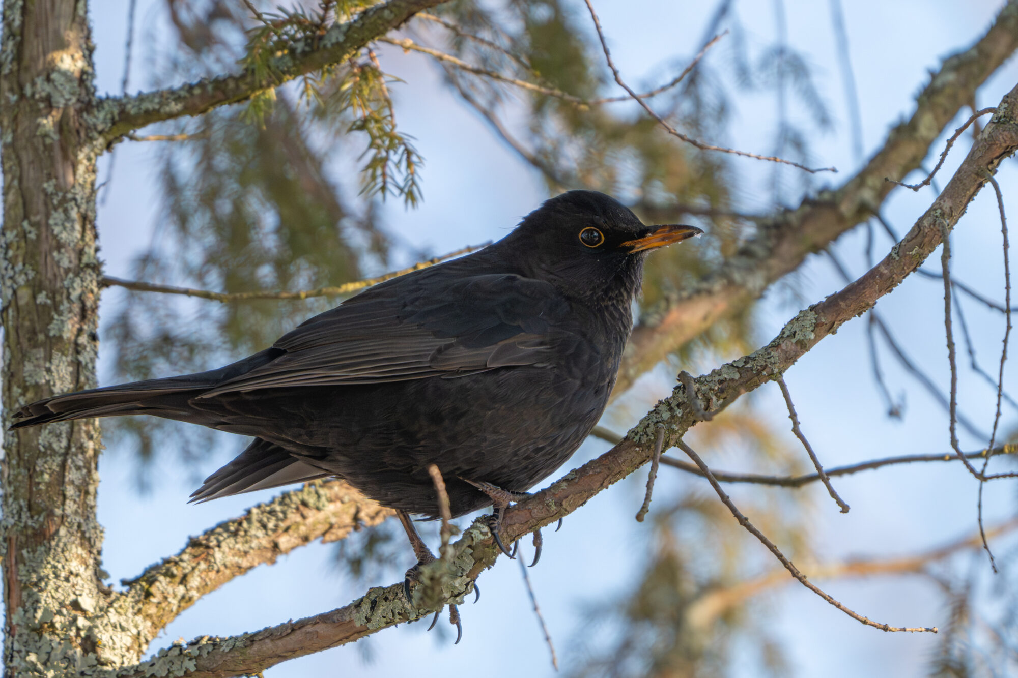 Valokuvaaja: Markku Saarinen