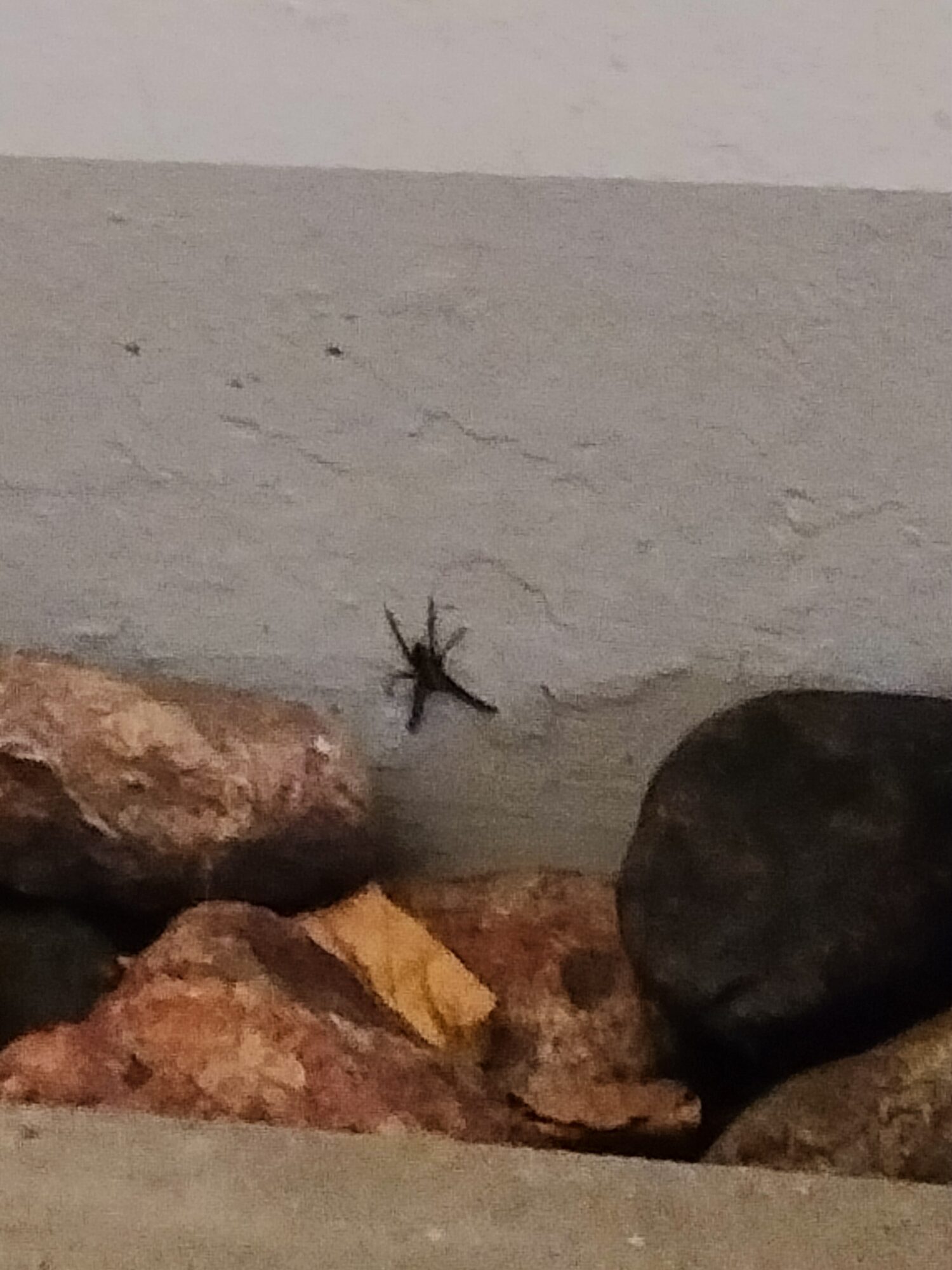 Valokuvaaja: Tomi Syrén