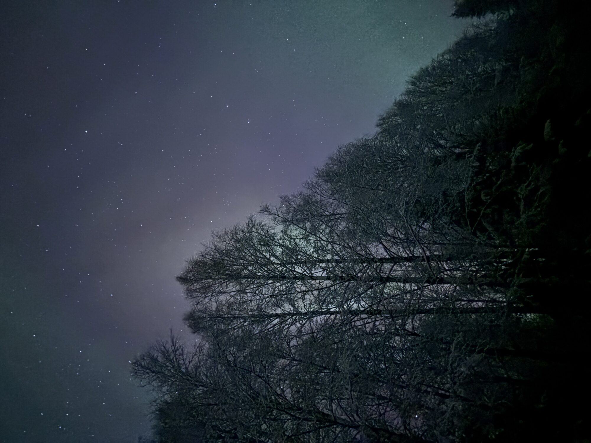 Valokuvaaja: Asta Erholtz