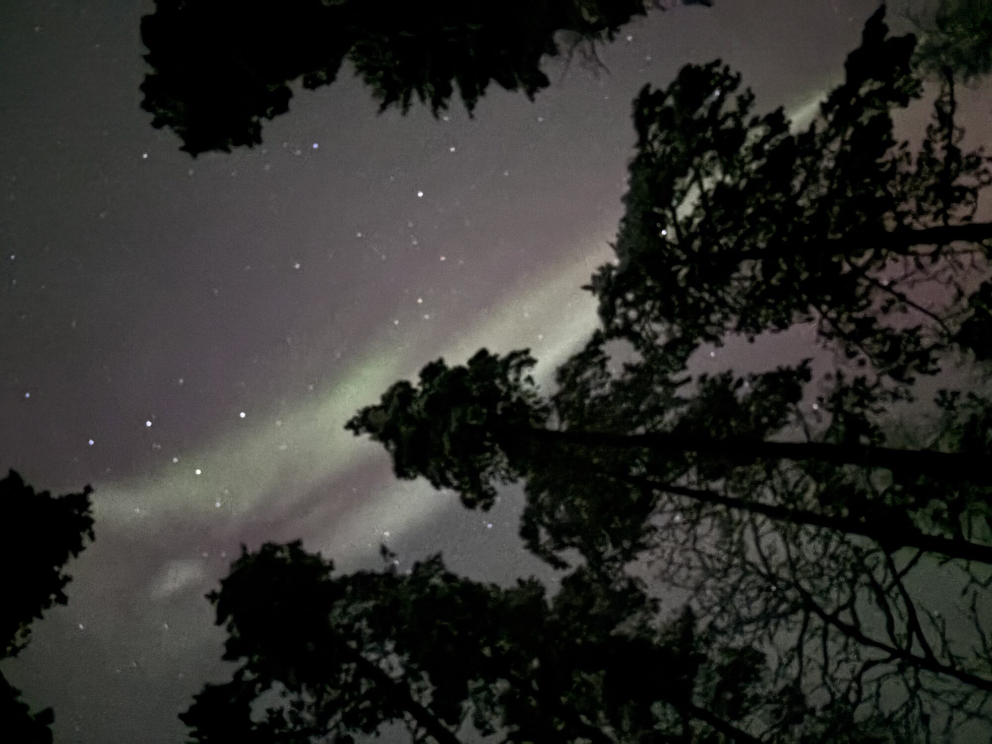 Valokuvaaja: Asta Erholtz