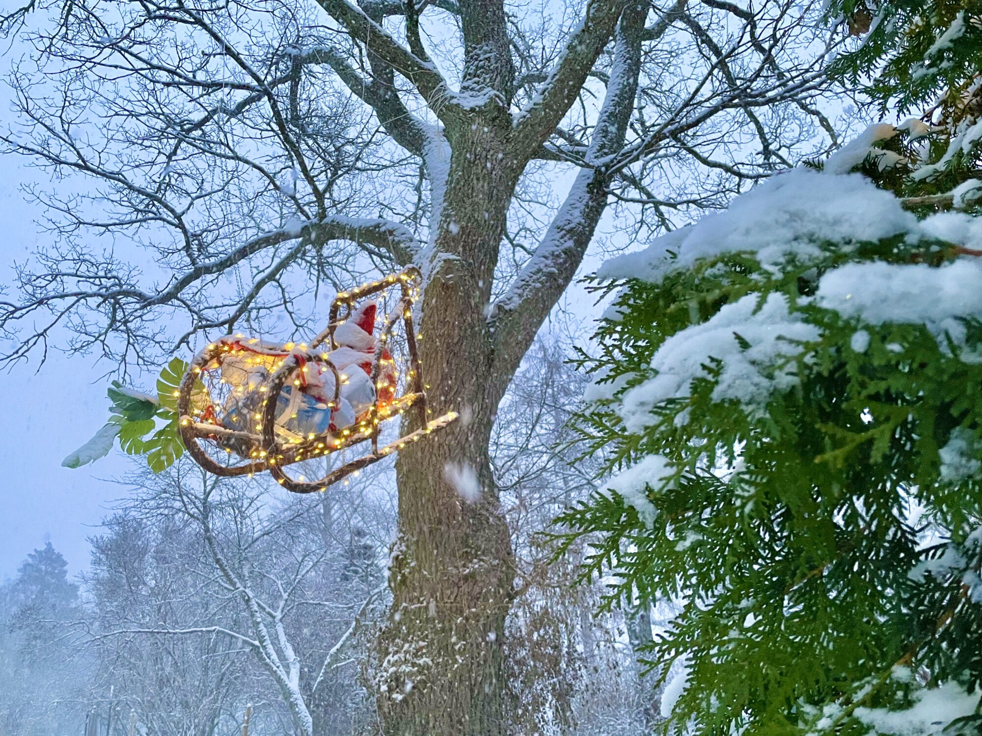 Valokuvaaja: Juhani Peltonen