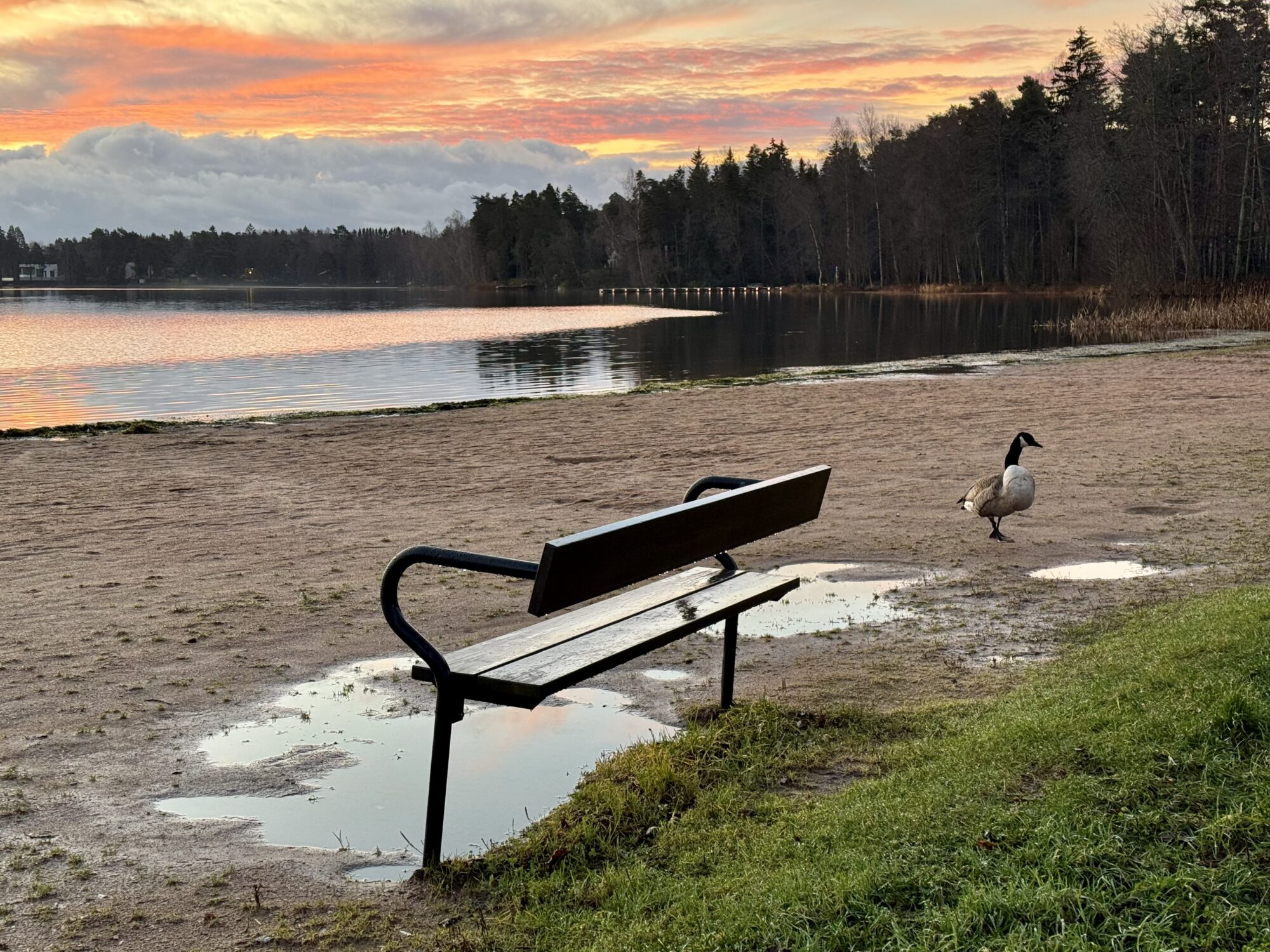 Valokuvaaja: Juhani Peltonen