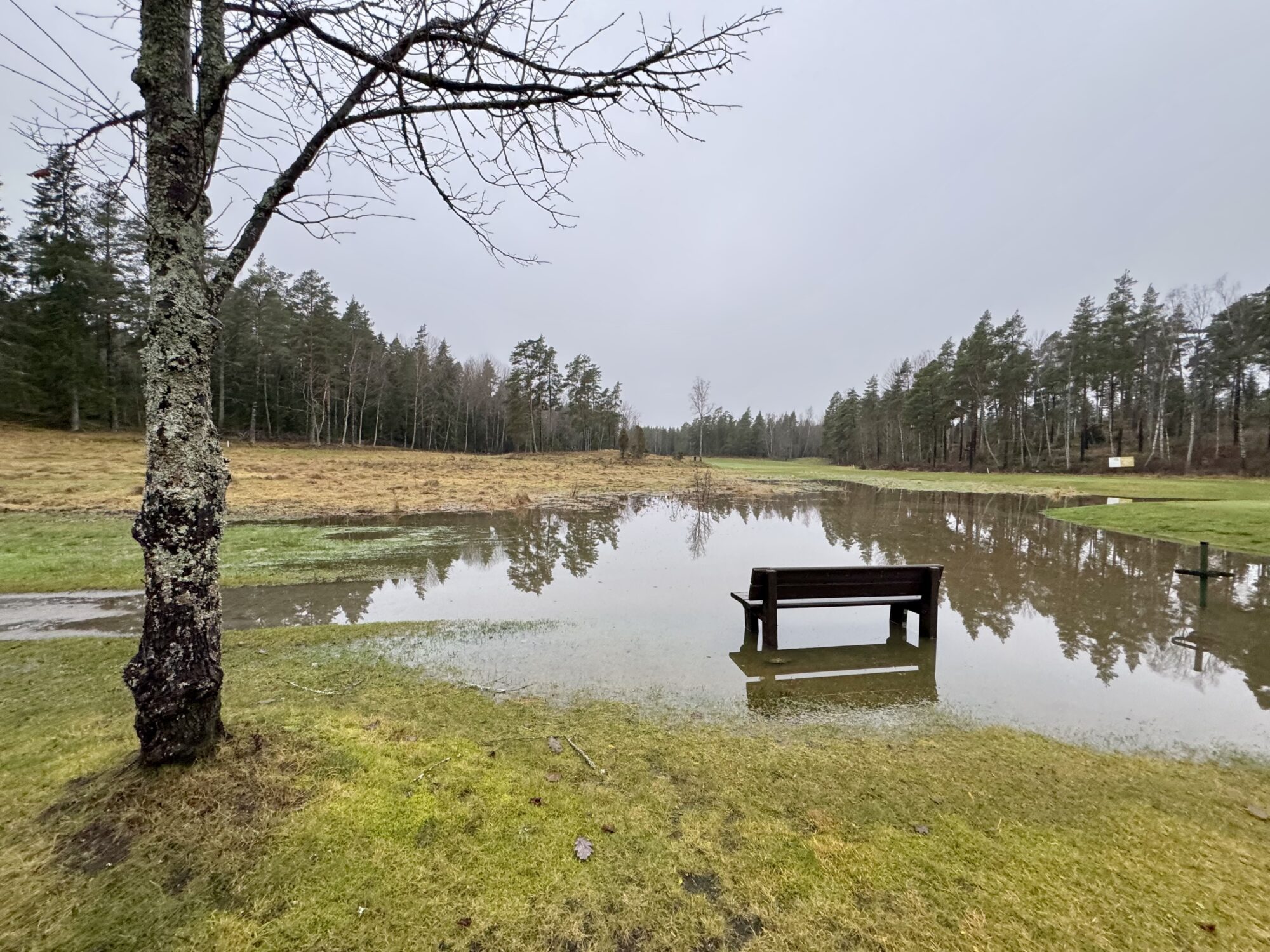 Valokuvaaja: Juhani Peltonen