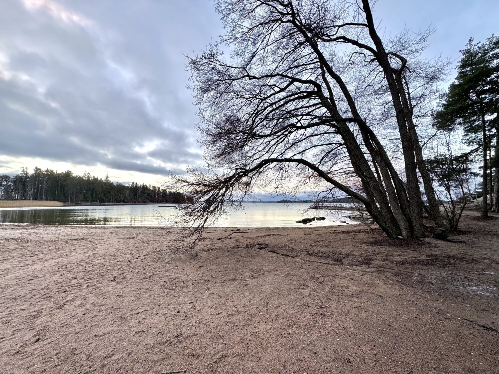 Valokuvaaja: Juhani Peltonen