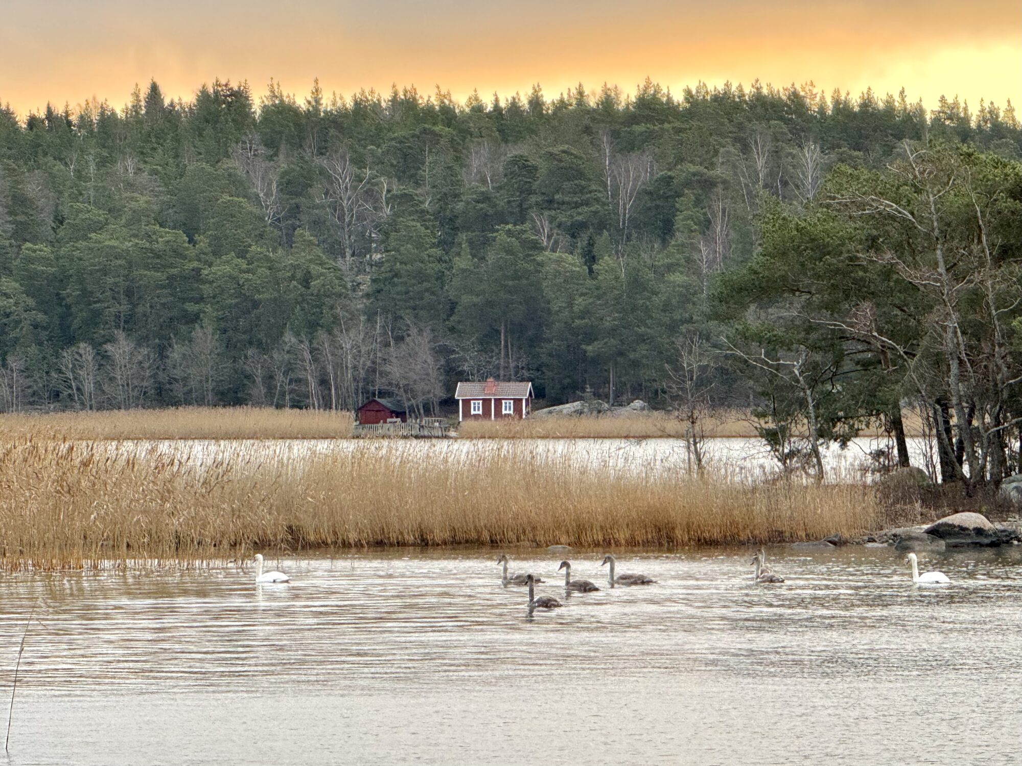 Valokuvaaja: Juhani Peltonen