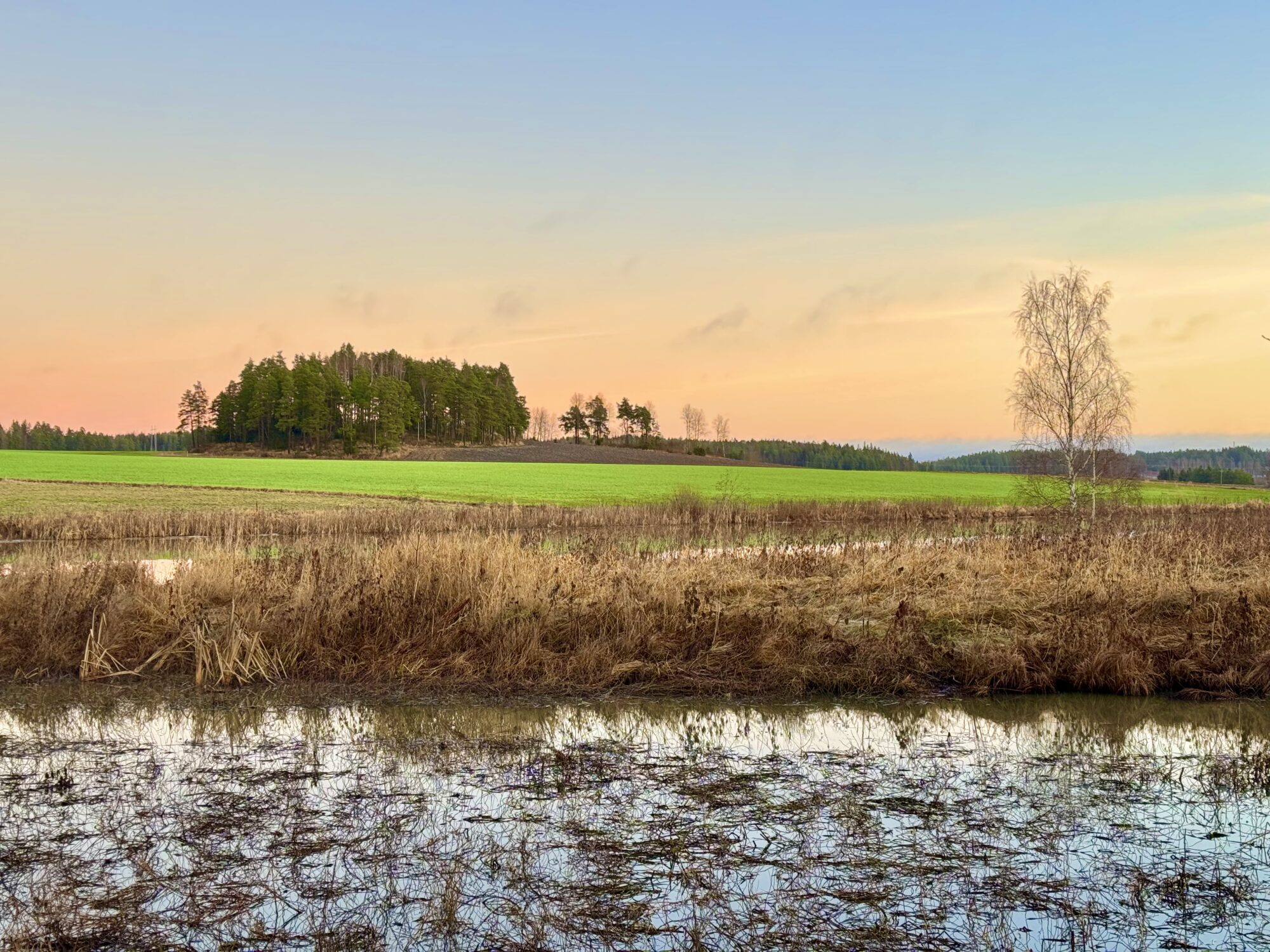 Valokuvaaja: Juhani Peltonen