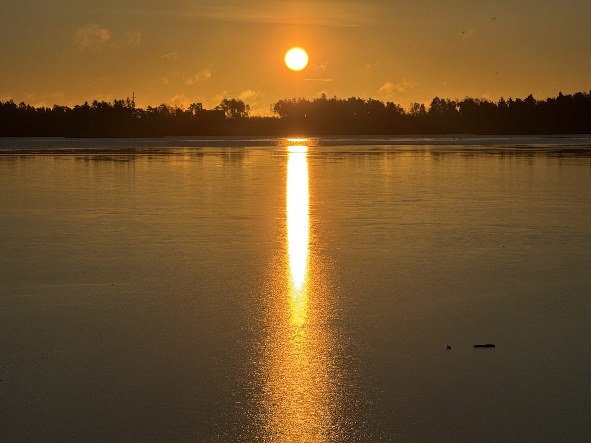Valokuvaaja: Juhani Peltonen