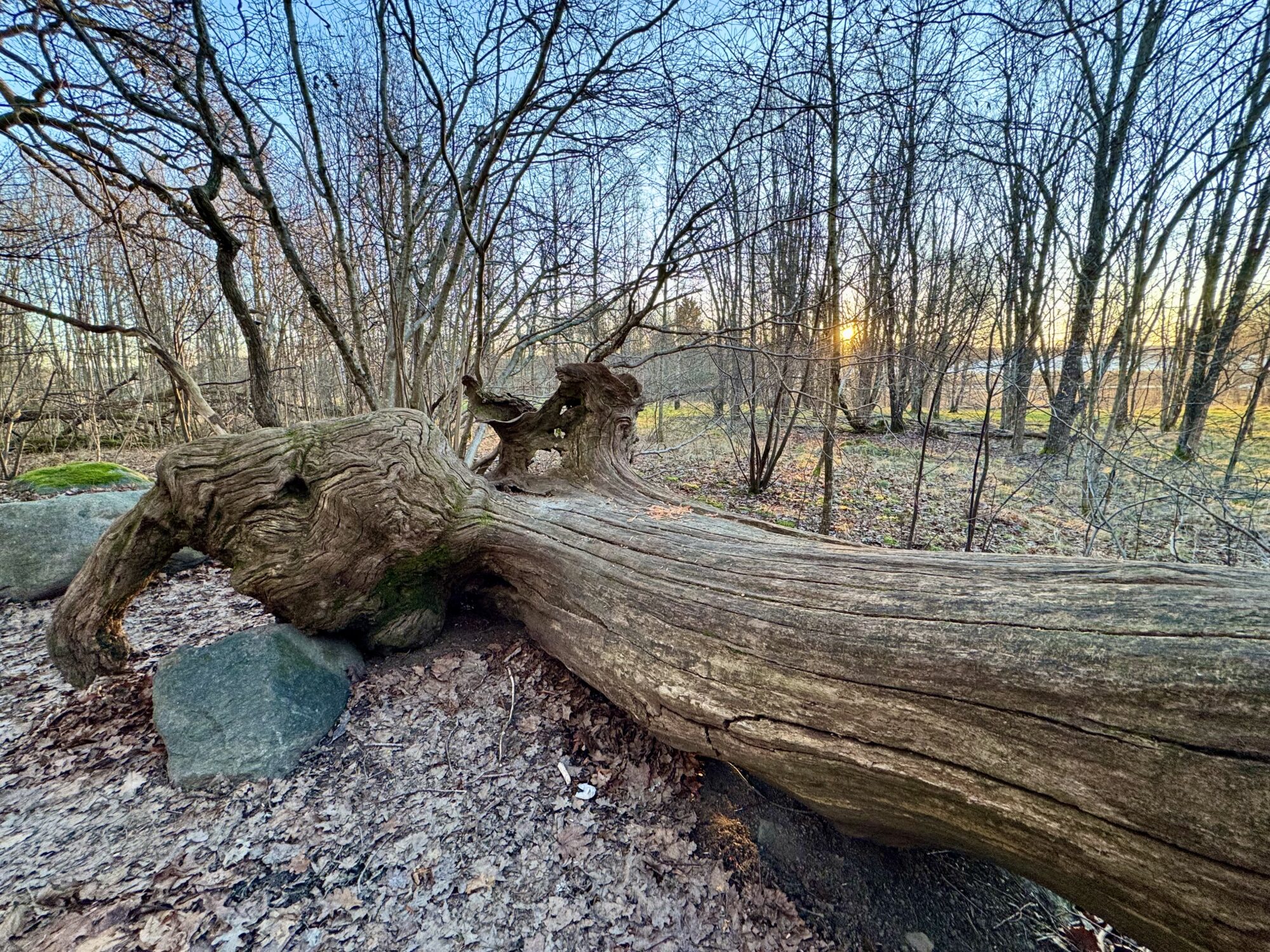 Valokuvaaja: Juhani Peltonen