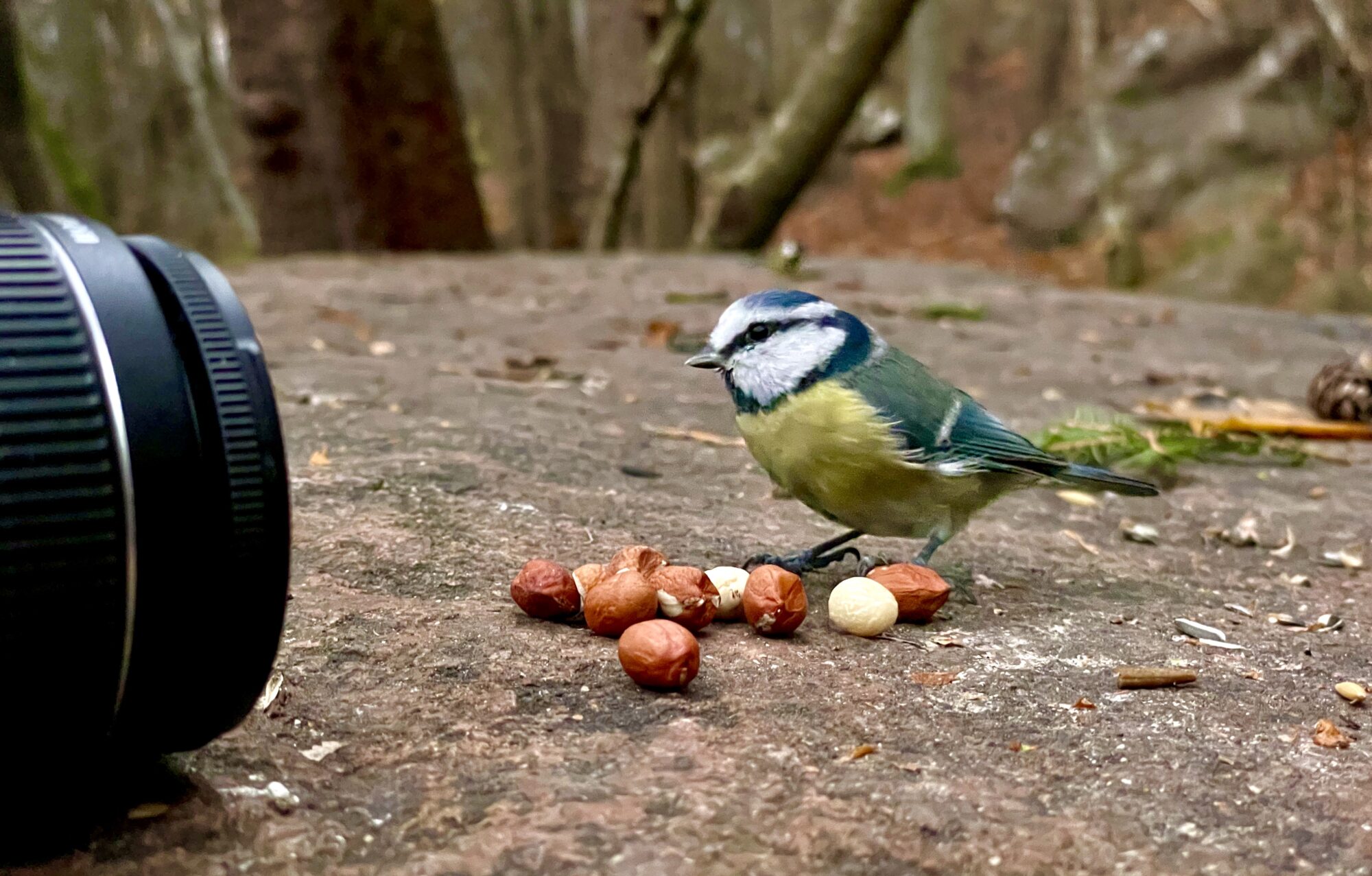 Valokuvaaja: Juhani Peltonen