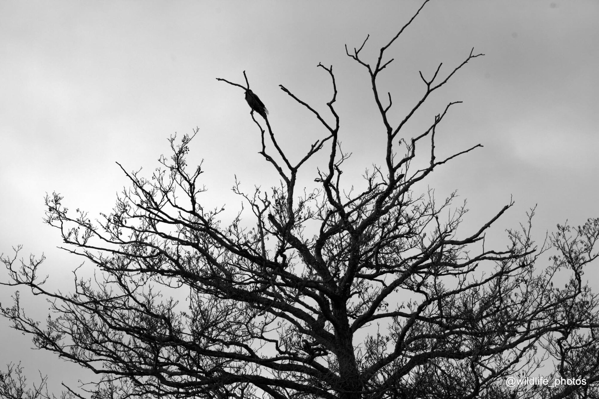 Valokuvaaja: tapio keinonen