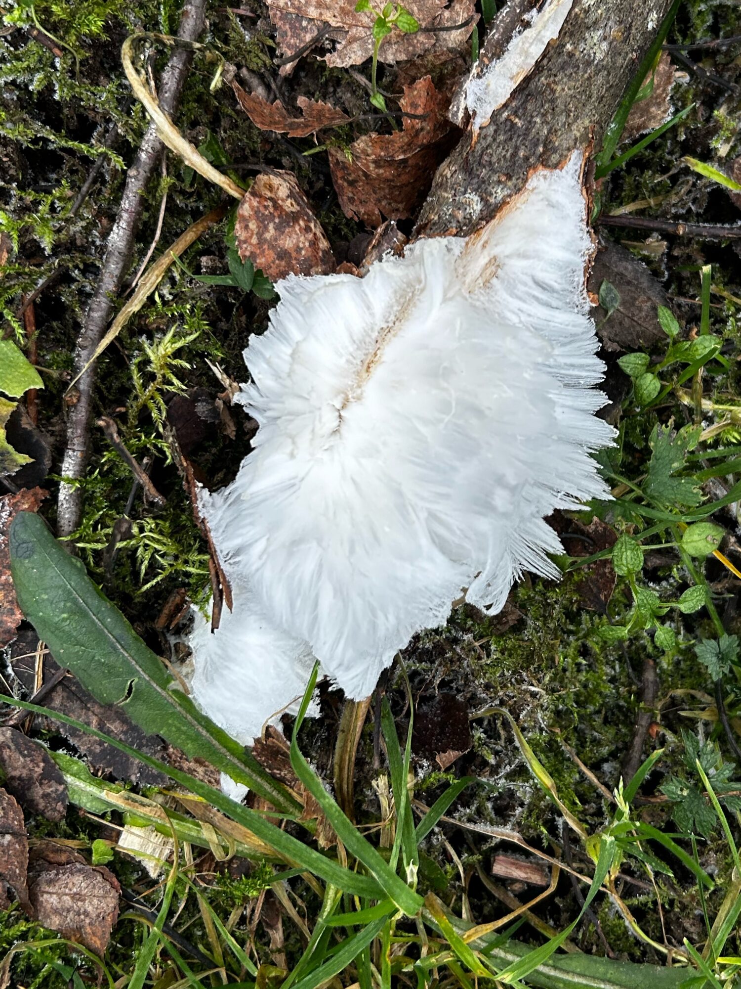 Valokuvaaja: Jouko Salonen