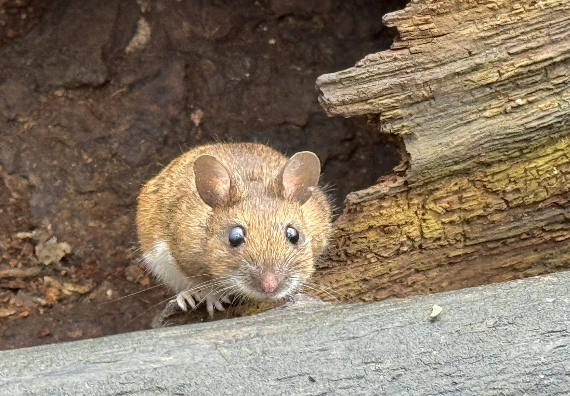 Valokuvaaja: Juhani Peltonen