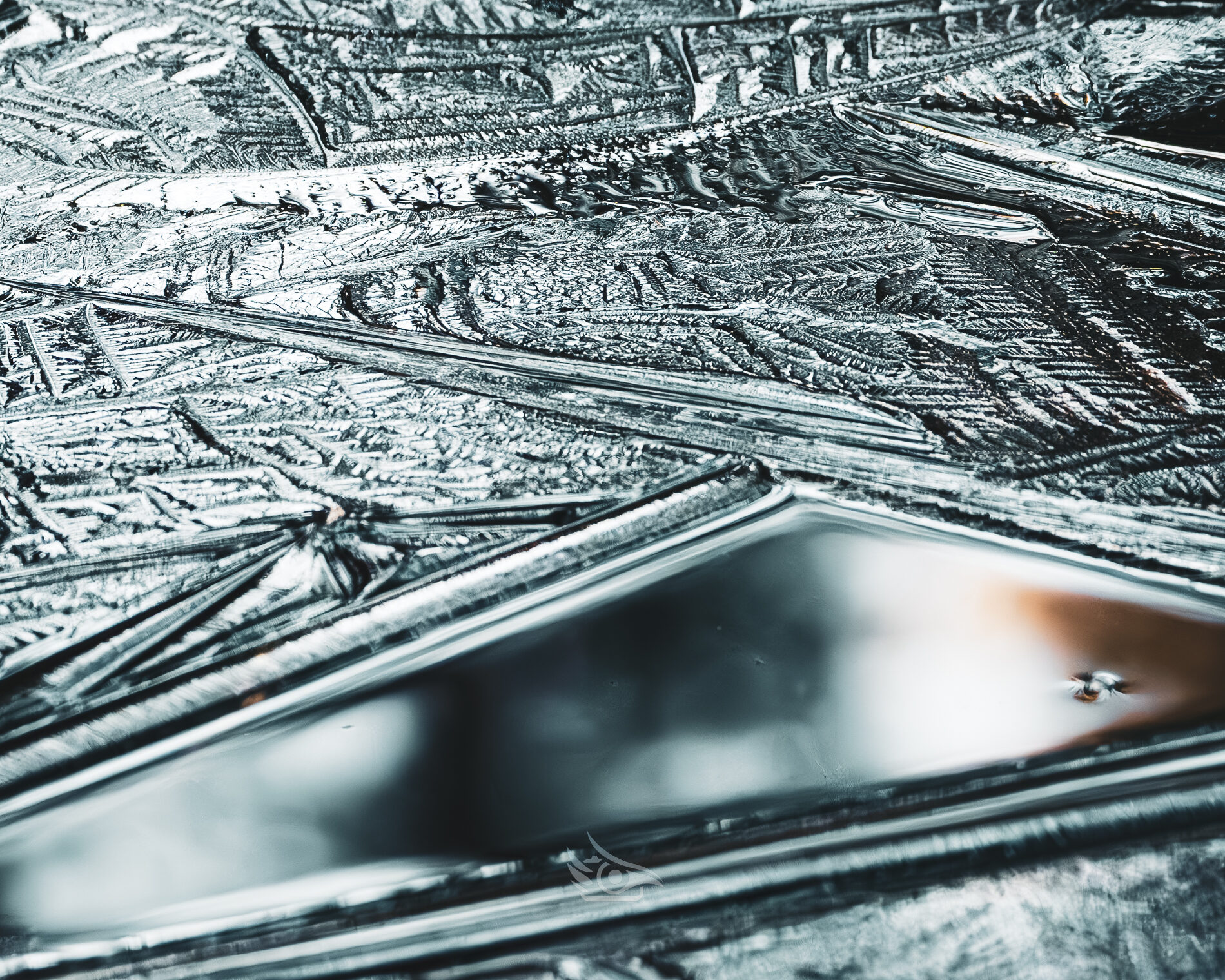 Valokuvaaja: Milla Rannila