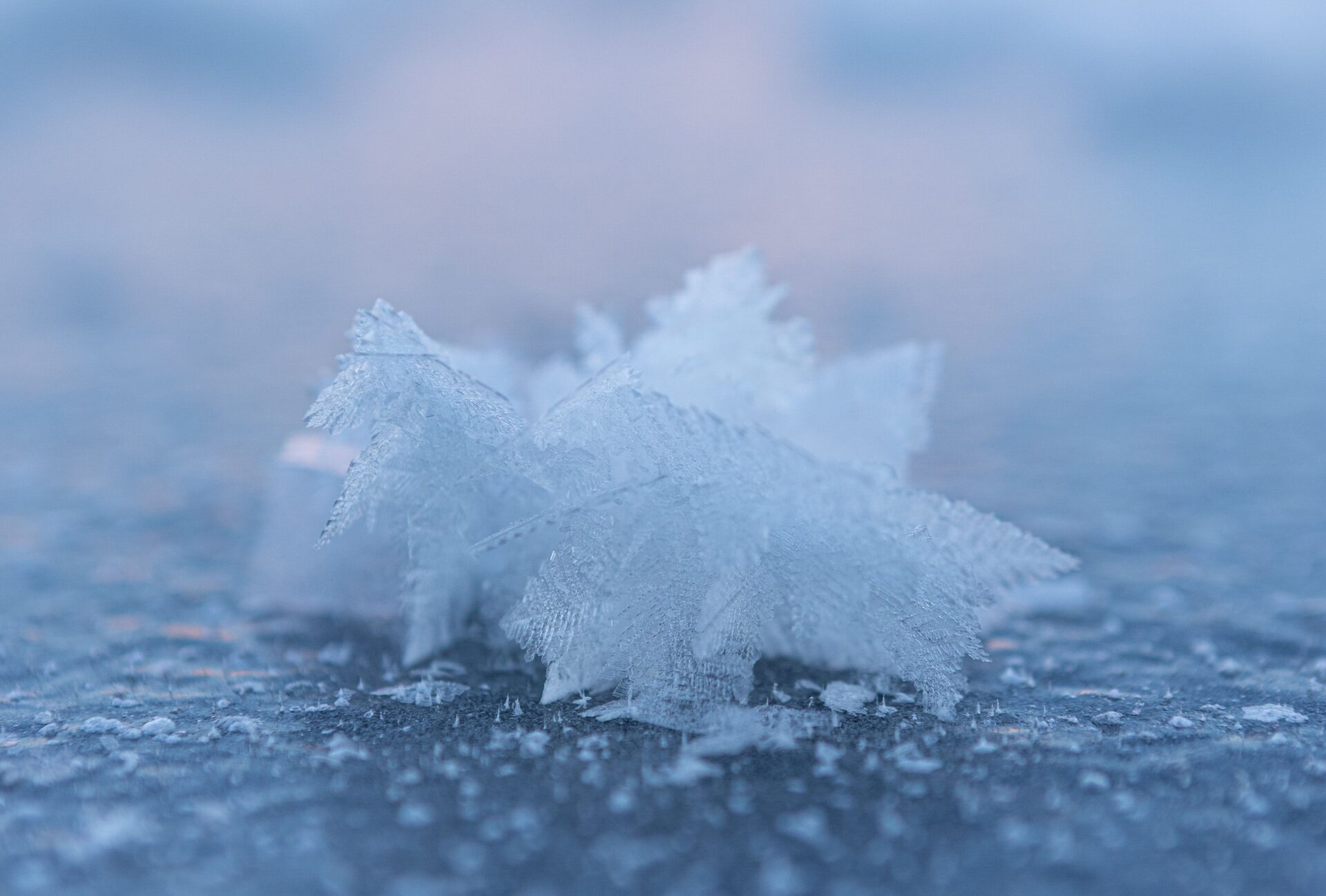 Valokuvaaja: Katri Niskanen