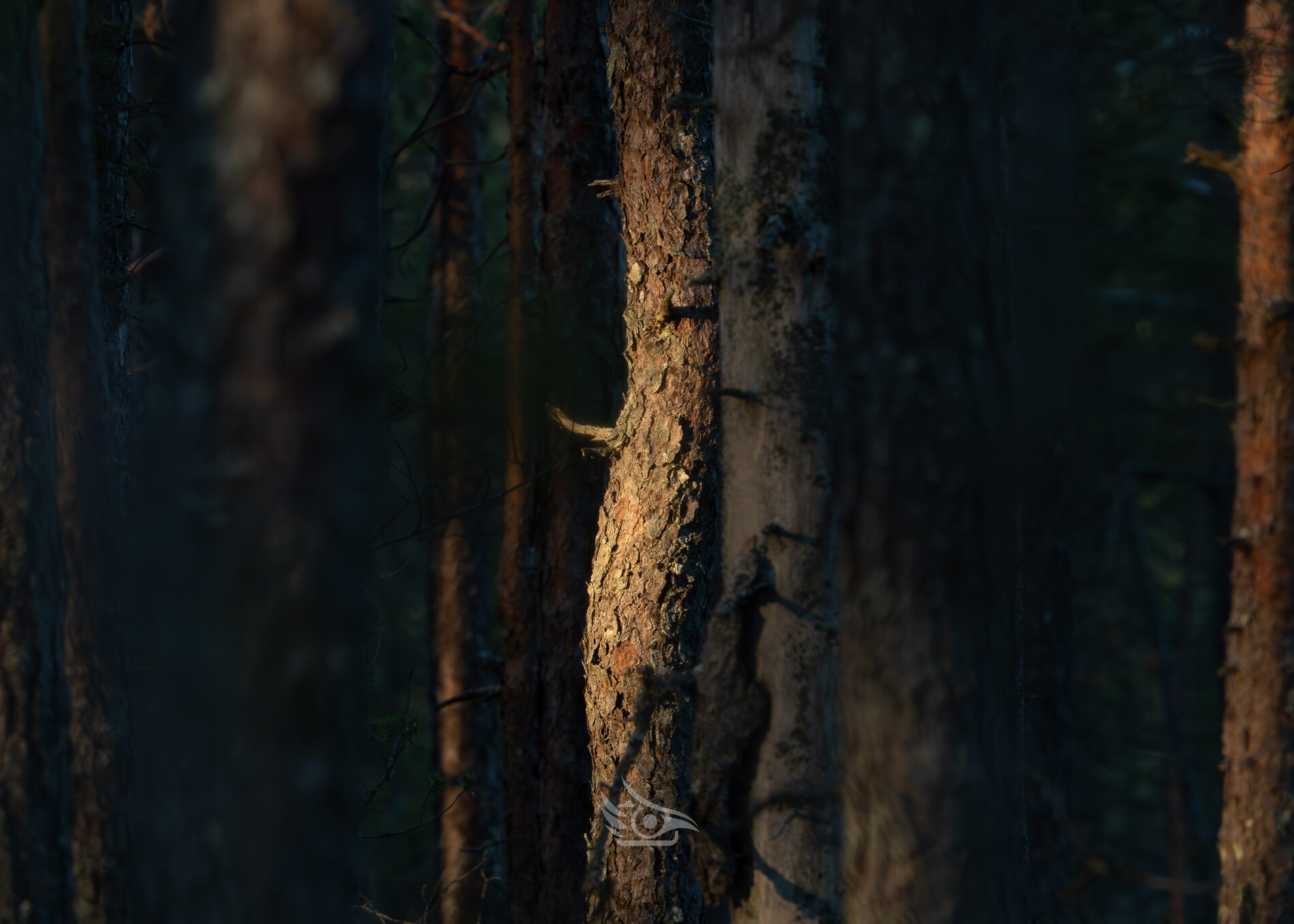 Valokuvaaja: Milla Rannila