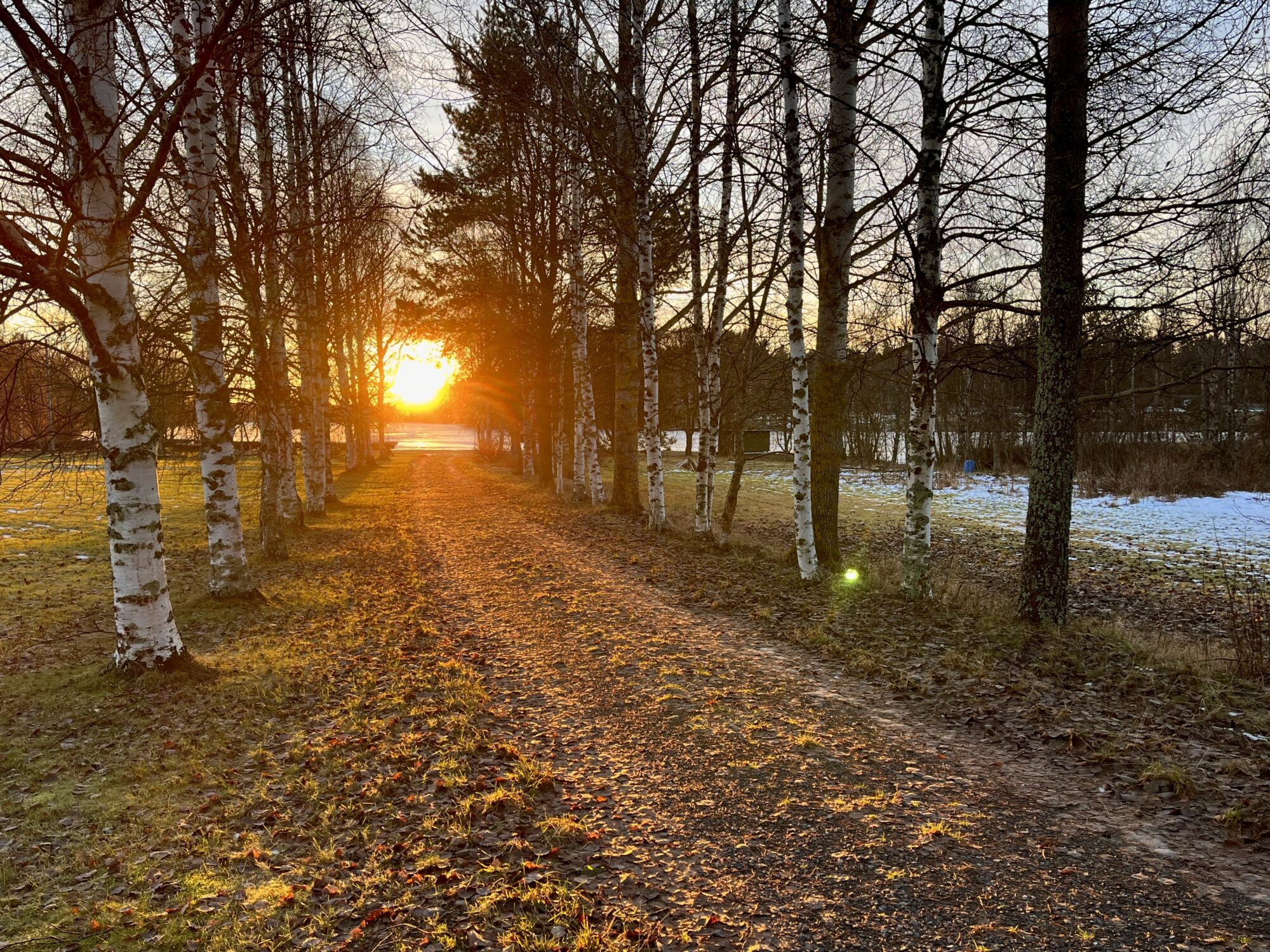 Valokuvaaja: Tuukka Pahtamaa