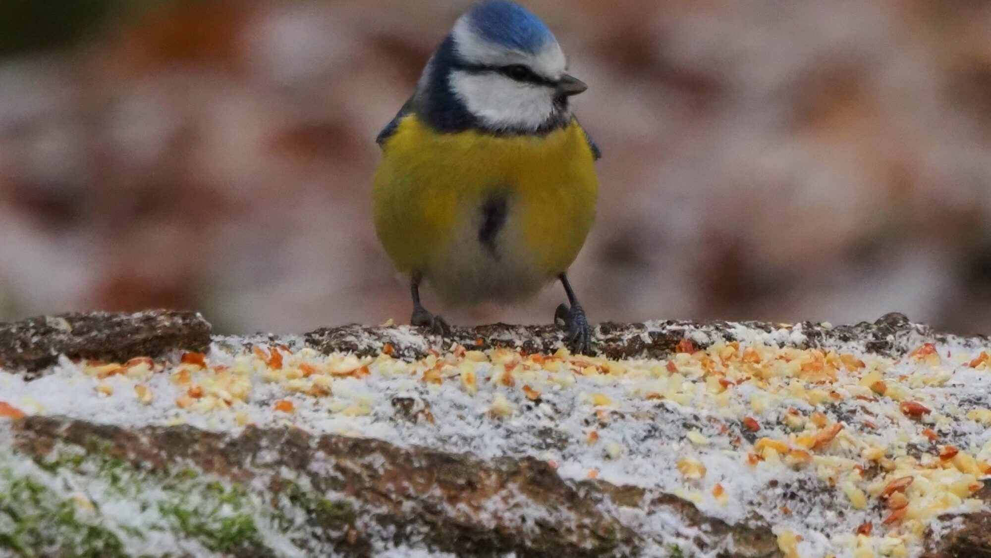 Valokuvaaja: Arja Valtonen