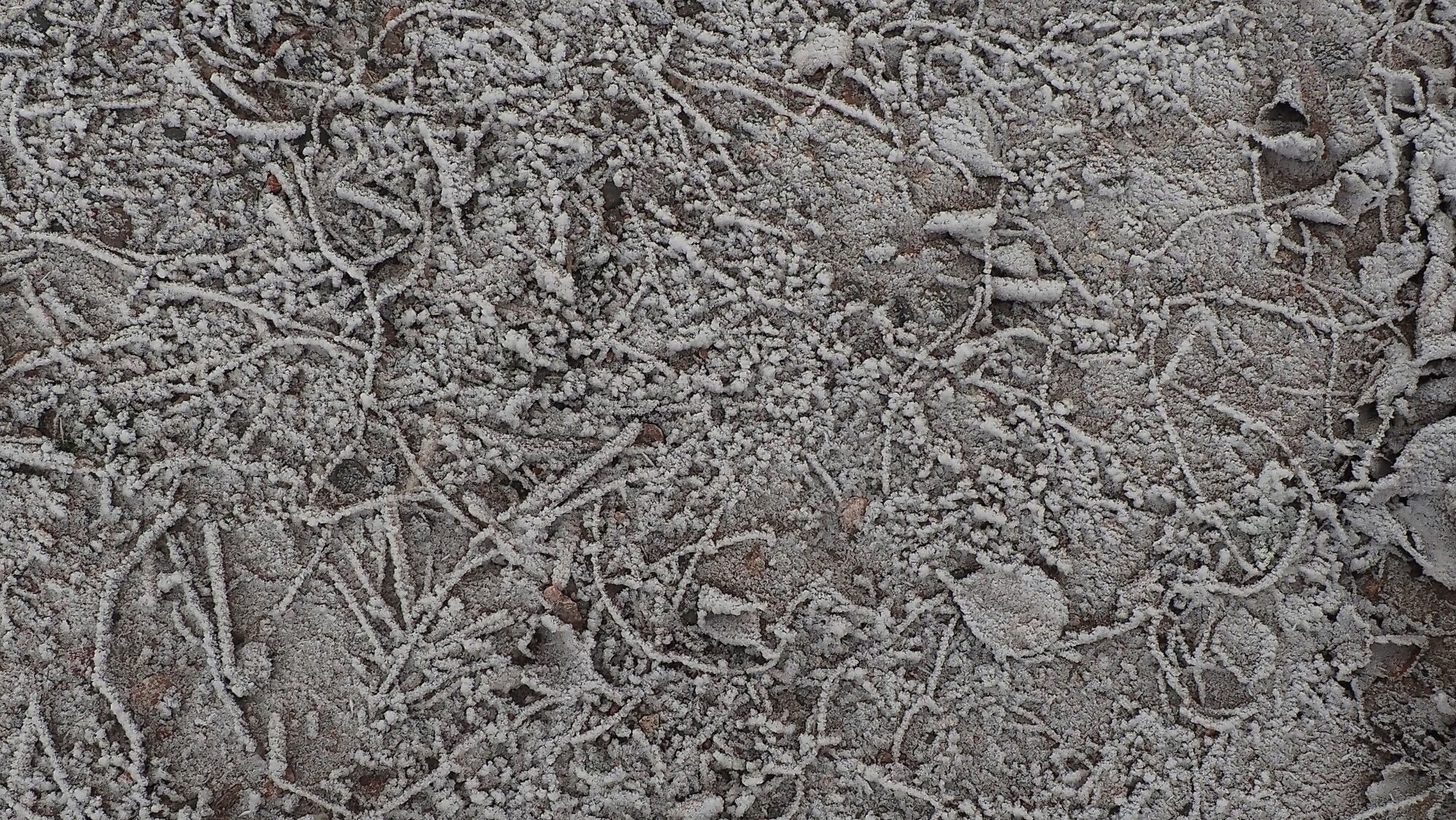 Valokuvaaja: Arja Valtonen